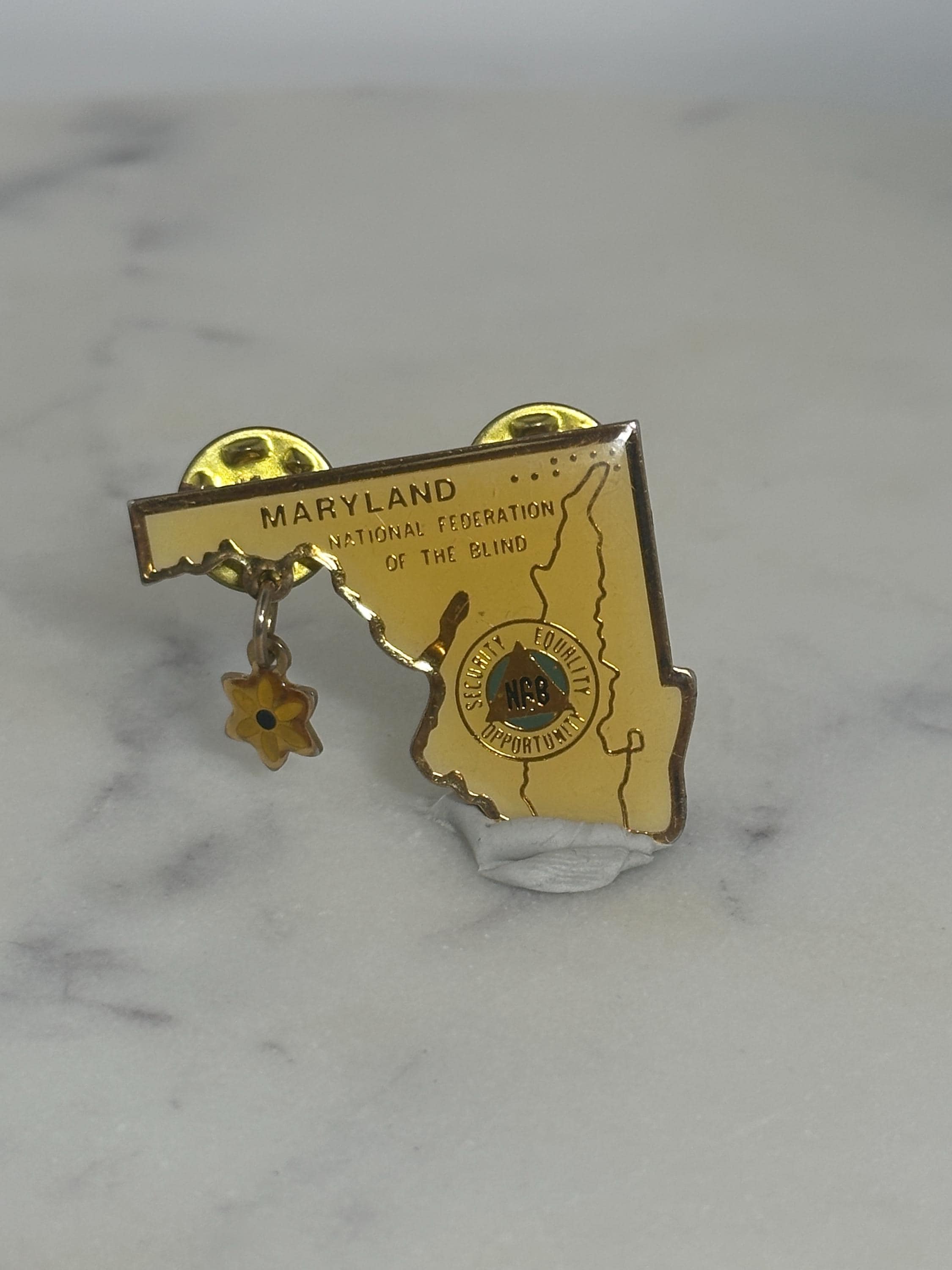 Maryland State Enamel Pin: Gold Map Design - NFB Collectible Accessory