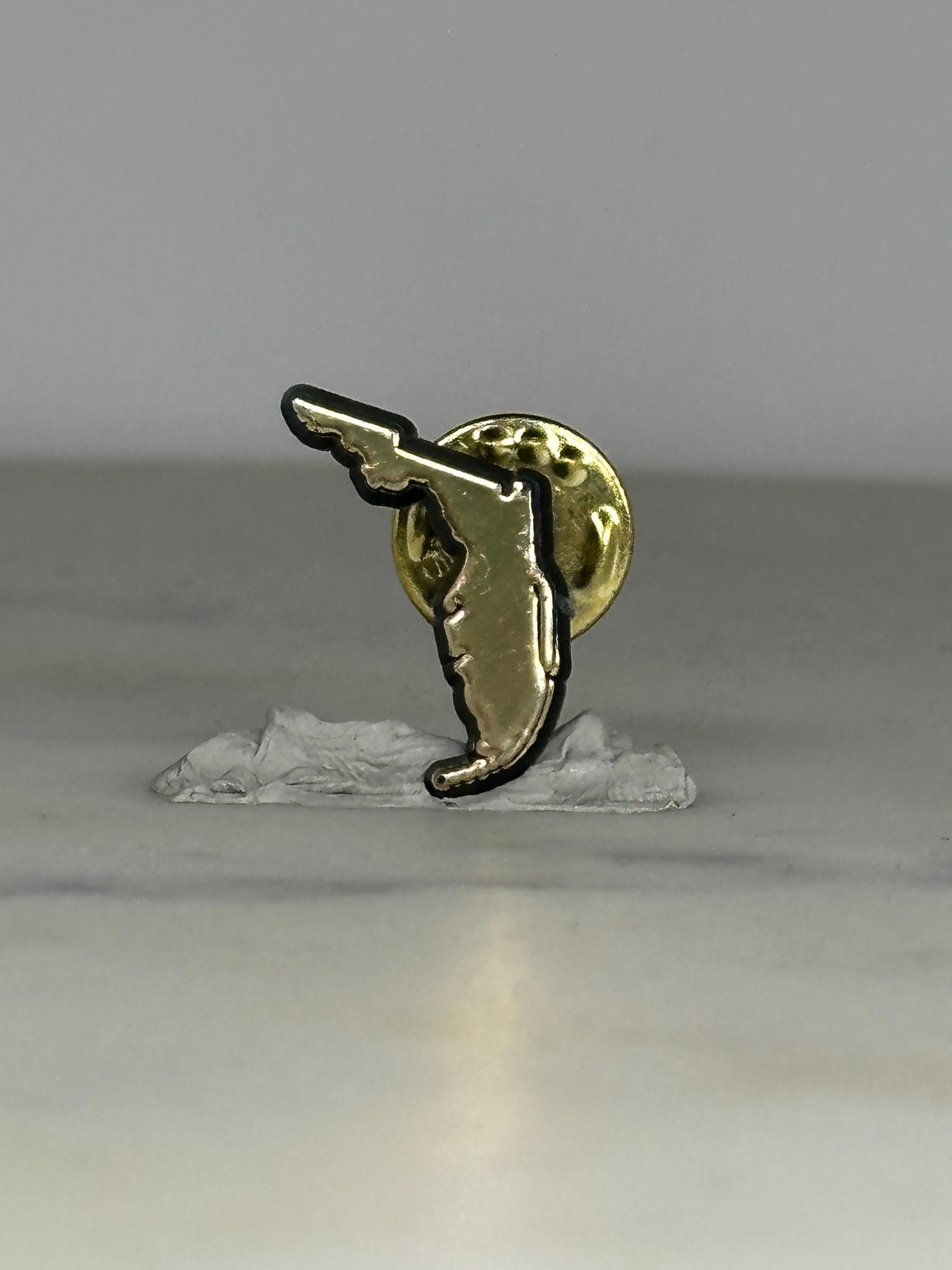 Florida State Shape Pin: Gold Tone Enamel - Vintage Souvenir Accessory