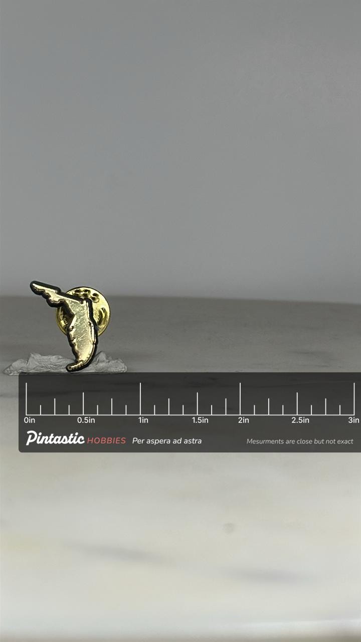 Florida State Shape Pin: Gold Tone Enamel - Vintage Souvenir Accessory with ruler overlay for size reference