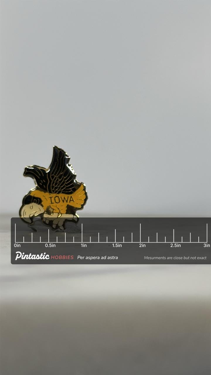 Iowa Hawk Mascot Pin: Black & Gold Enamel - Vintage College Accessory with ruler overlay for size reference