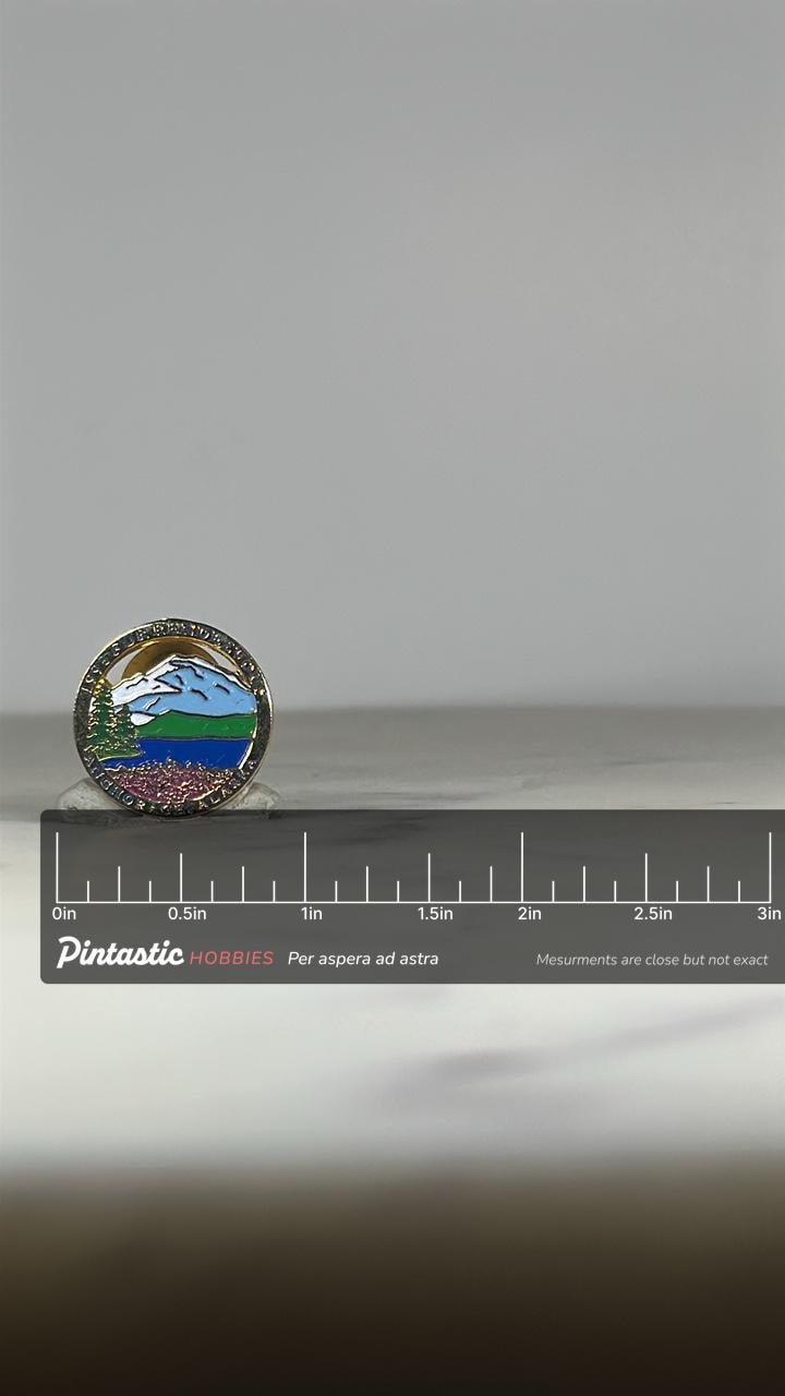 1995 Fur Rendezvous Pin: Scenic Enamel Gold-Tone - Alaska Event Accessory