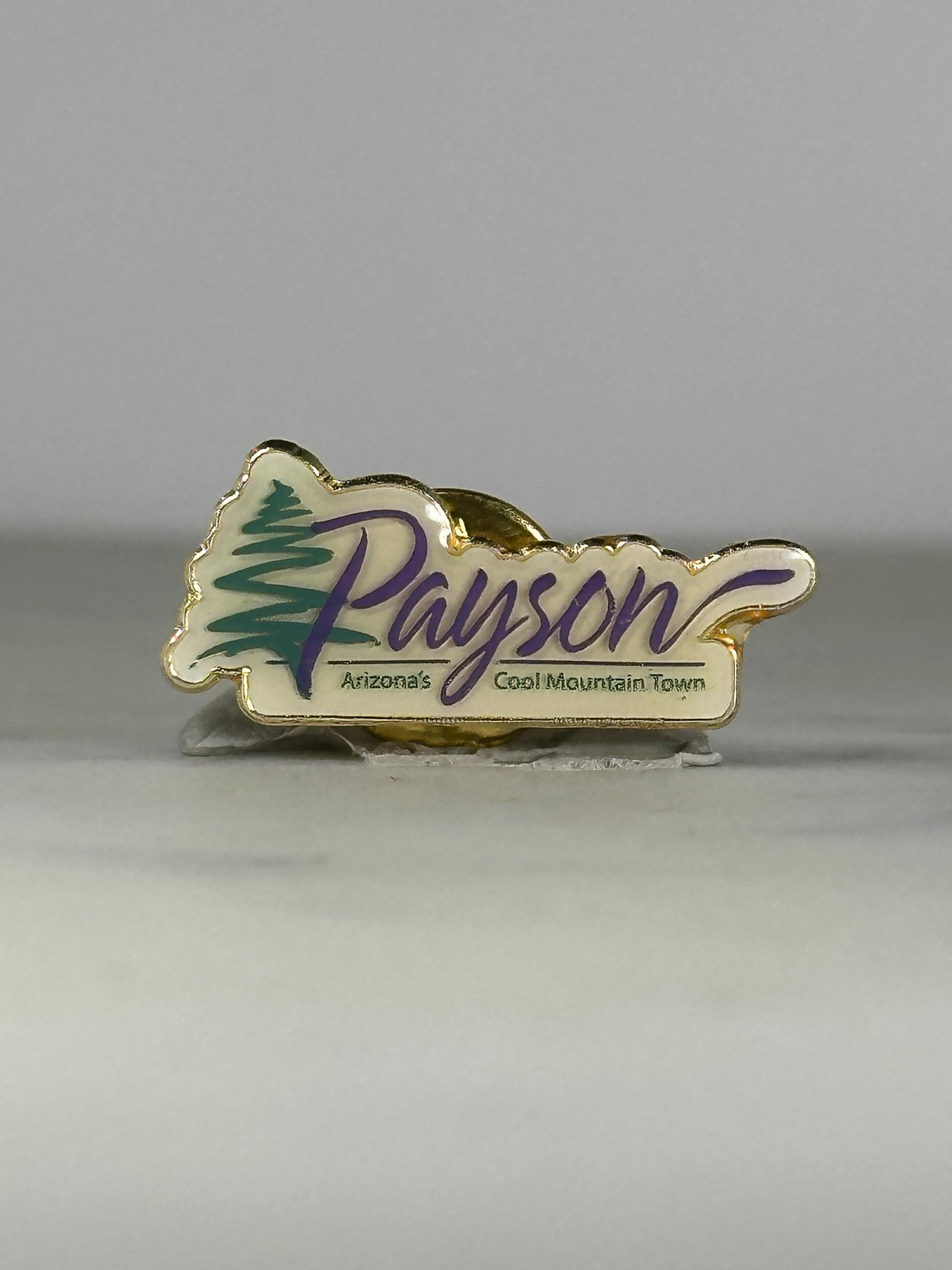 Payson Arizona Souvenir Pin: Gold Trim Enamel - Vintage Travel Accessory