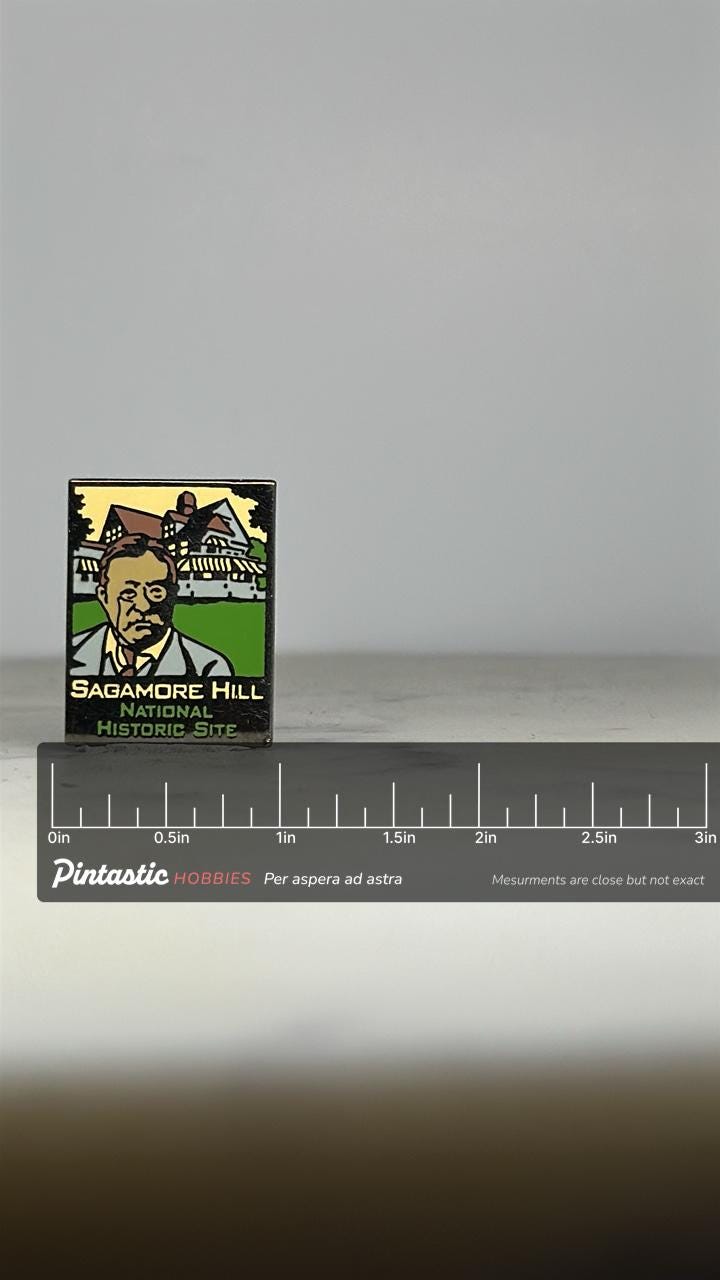 Sagamore Hill Enamel Pin: Multicolor Cloisonné - Historic Site Accessory with ruler overlay for size reference