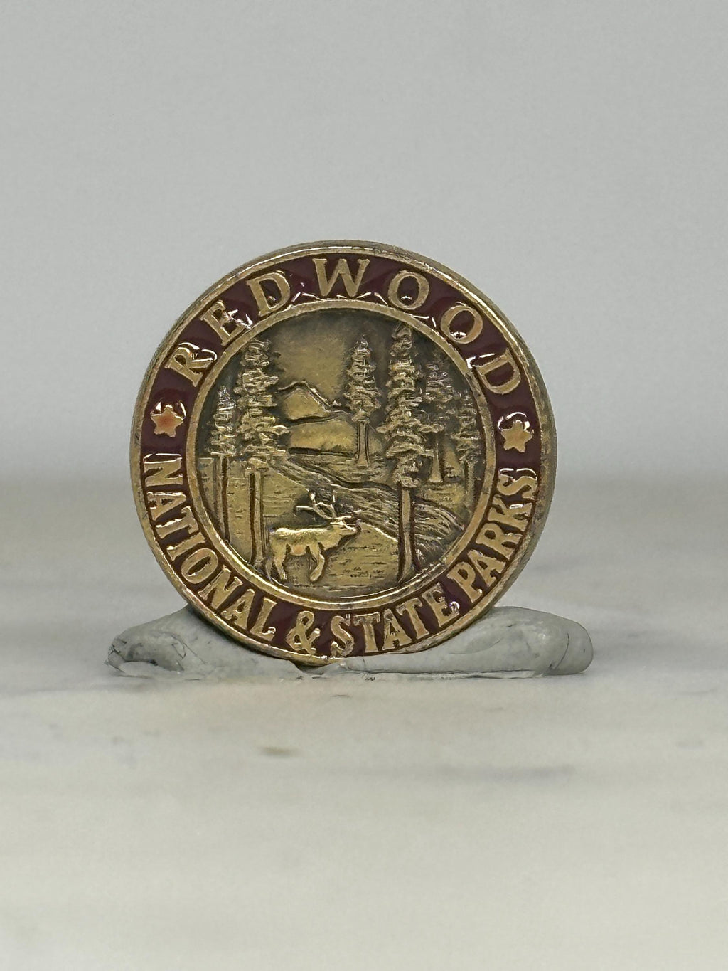 Redwood National Park Pin: Bronze Red Enamel - Vintage Nature Accessory