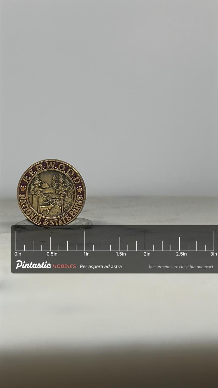 Redwood National Park Pin: Bronze Red Enamel - Vintage Nature Accessory with ruler overlay for size reference