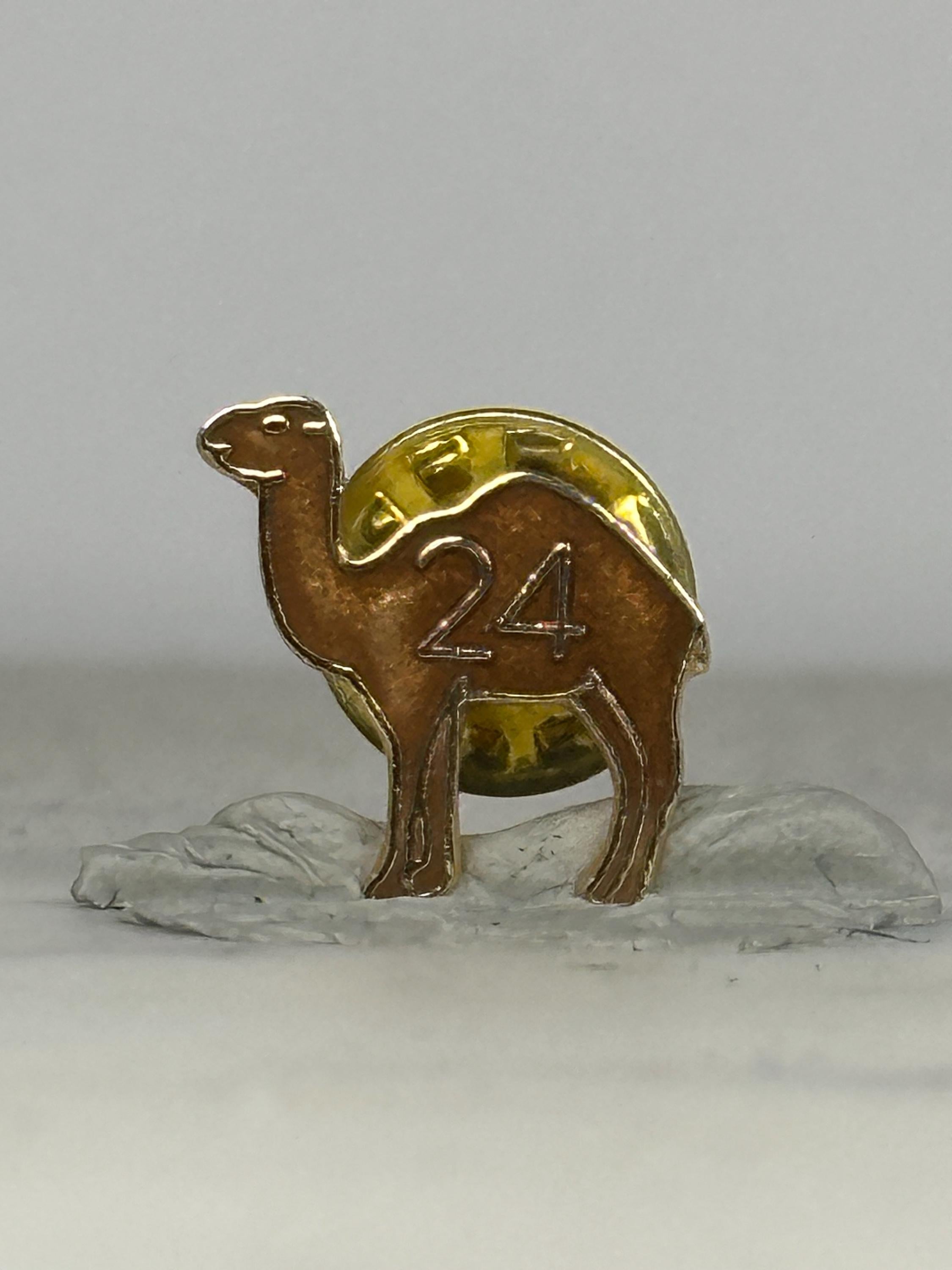 AA 24-Hour Camel Sobriety Pin – Alcoholics Anonymous Fellowship Lapel Pin