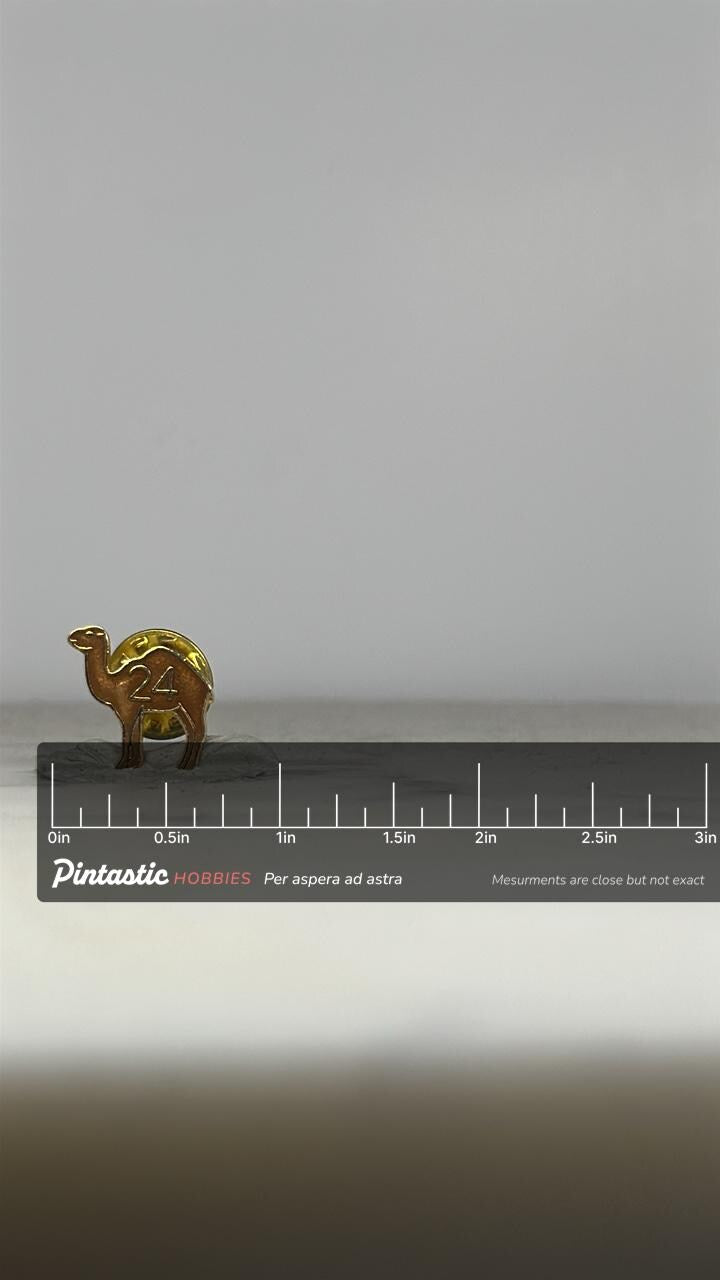 AA 24-Hour Camel Sobriety Pin – Alcoholics Anonymous Fellowship Lapel Pin