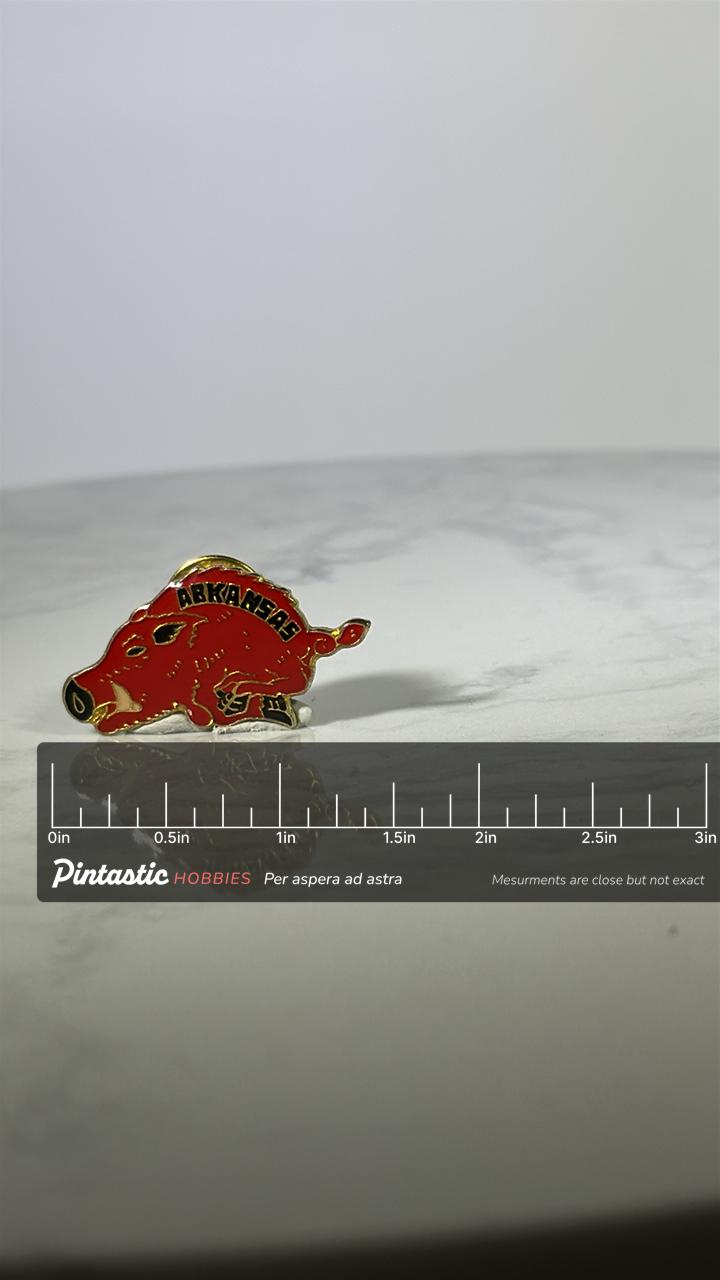 Arkansas Razorbacks Pin: Red Enamel Gold Tone - Vintage College Accessory with ruler overlay for size reference