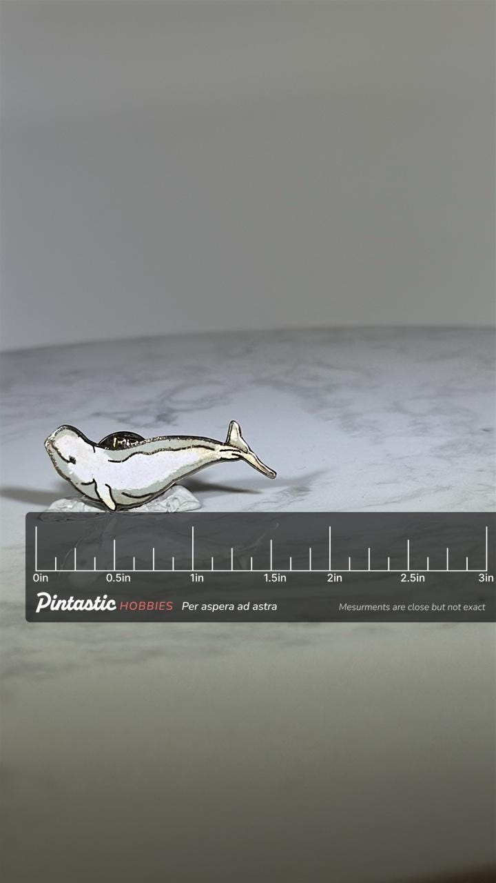 Beluga Whale Lapel Pin: White Enamel Silver Tone - Marine Life Accessory with ruler overlay for size reference