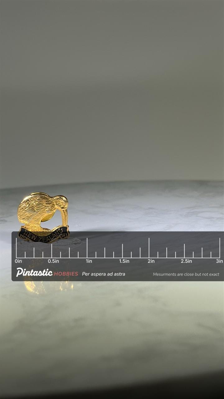 New Zealand Kiwi Pin: Gold Tone with Black Enamel - Travel Souvenir Accessory with ruler overlay for size reference