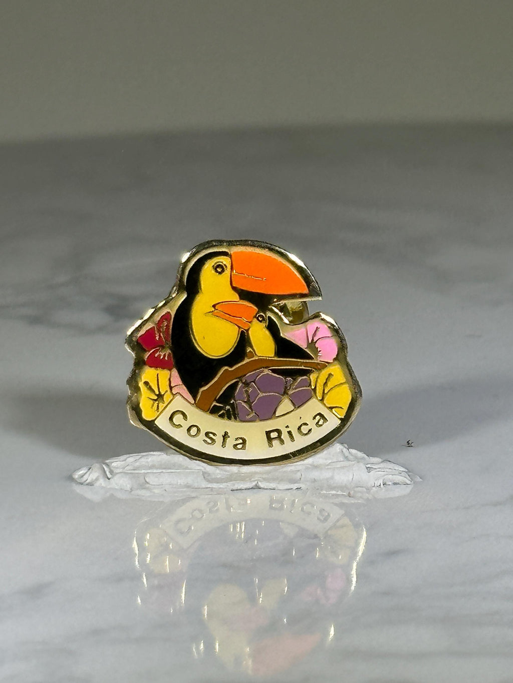 Costa Rica Toucan Pin: Bright Enamel Finish - Tropical Travel Souvenir
