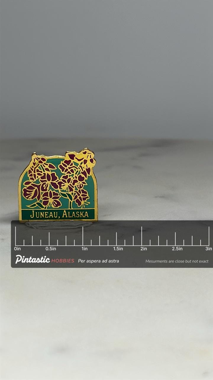 Juneau Alaska Souvenir Pin: Gold Trim Floral - Vintage Travel Accessory with ruler overlay for size reference