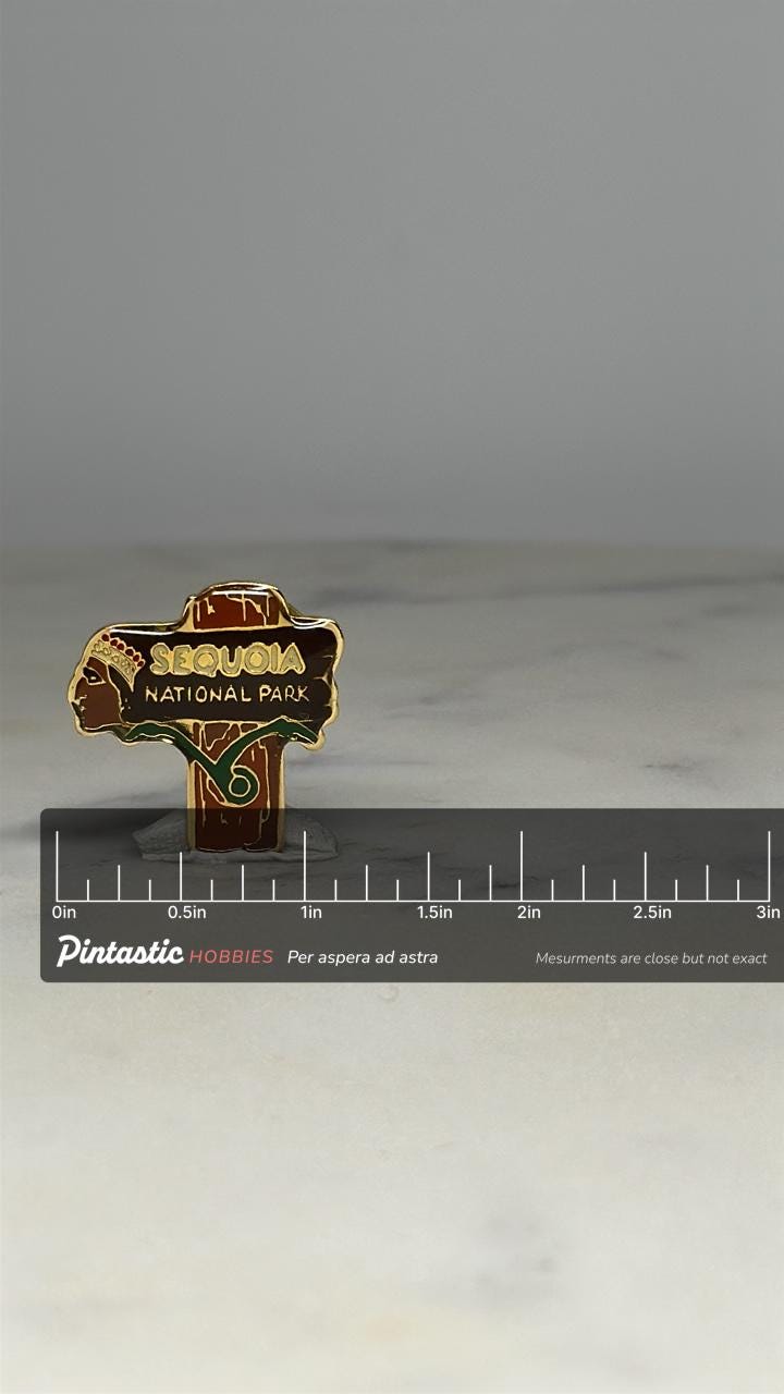 Sequoia National Park Pin: Enamel Brown-Gold - Vintage Travel Accessory with ruler overlay for size reference