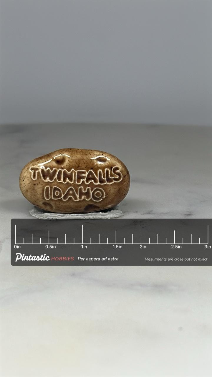 Twin Falls Idaho Souvenir Pin: Ceramic Stone Look - Retro Travel Accessory with ruler overlay for size reference