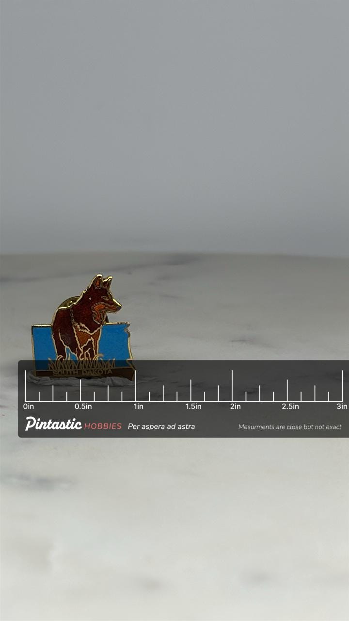 South Dakota Wolf Lapel Pin: Blue Enamel Goldtone - Vintage State Accessory with ruler overlay for size reference