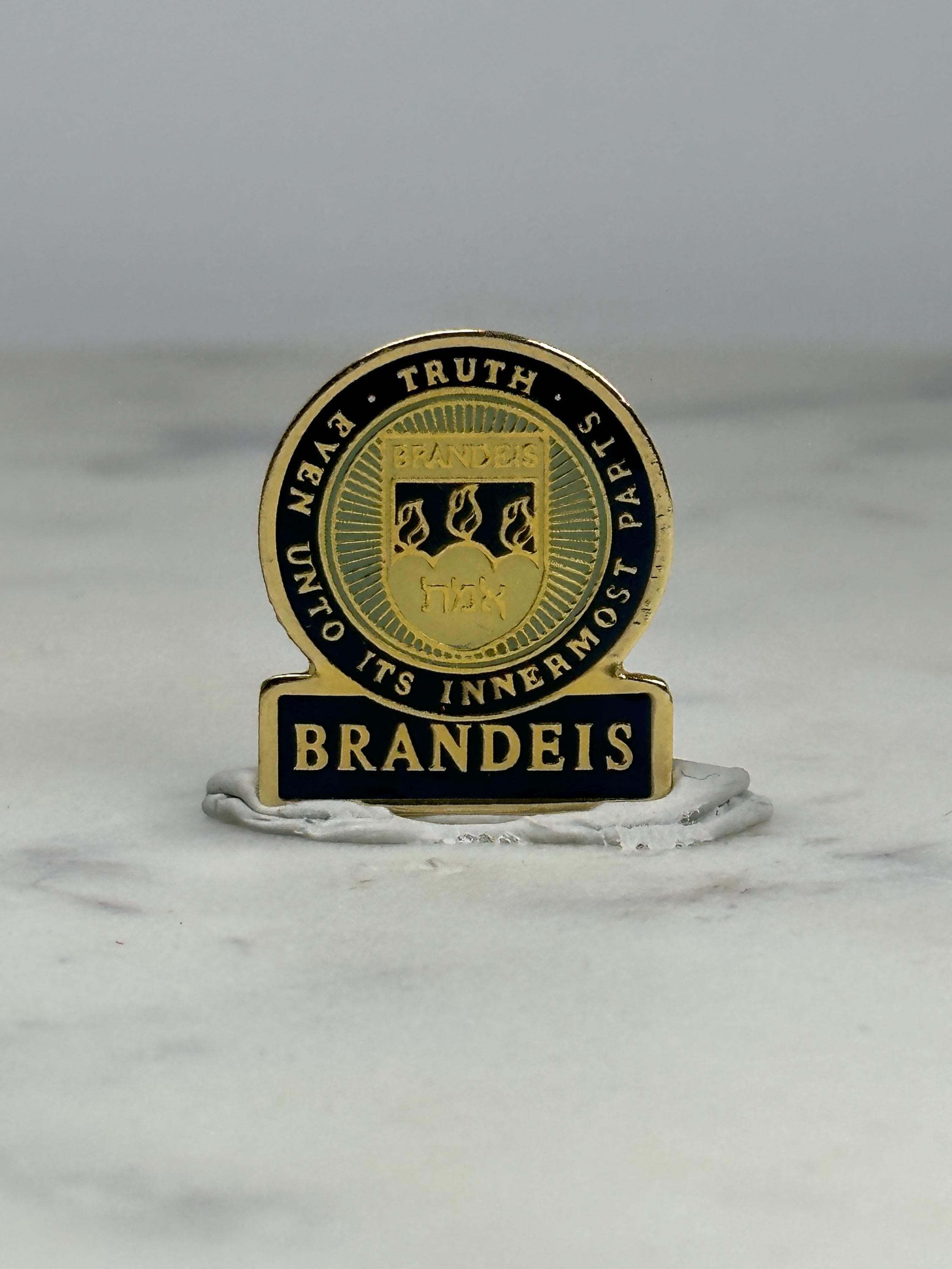 Brandeis University Pin: Gold Enamel Crest - Academic Collectible Accessory