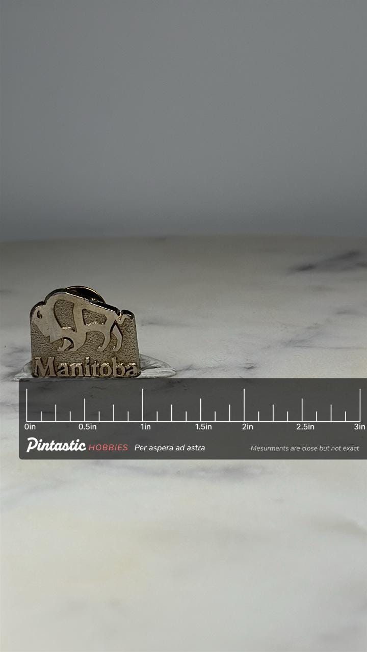 Manitoba Buffalo Pin: Brushed Silver Finish - Vintage Travel Accessory with ruler overlay for size reference