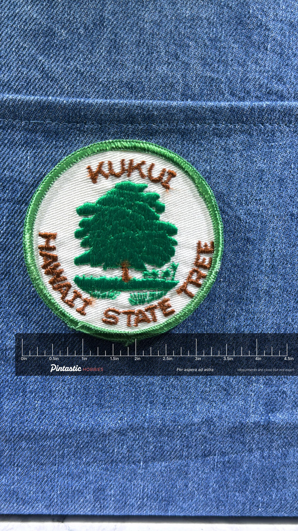Kukui Hawaii State Tree Collectable Patch: Iron-On Green Trim - Vintage Nature Accessory with ruler overlay for size referenc