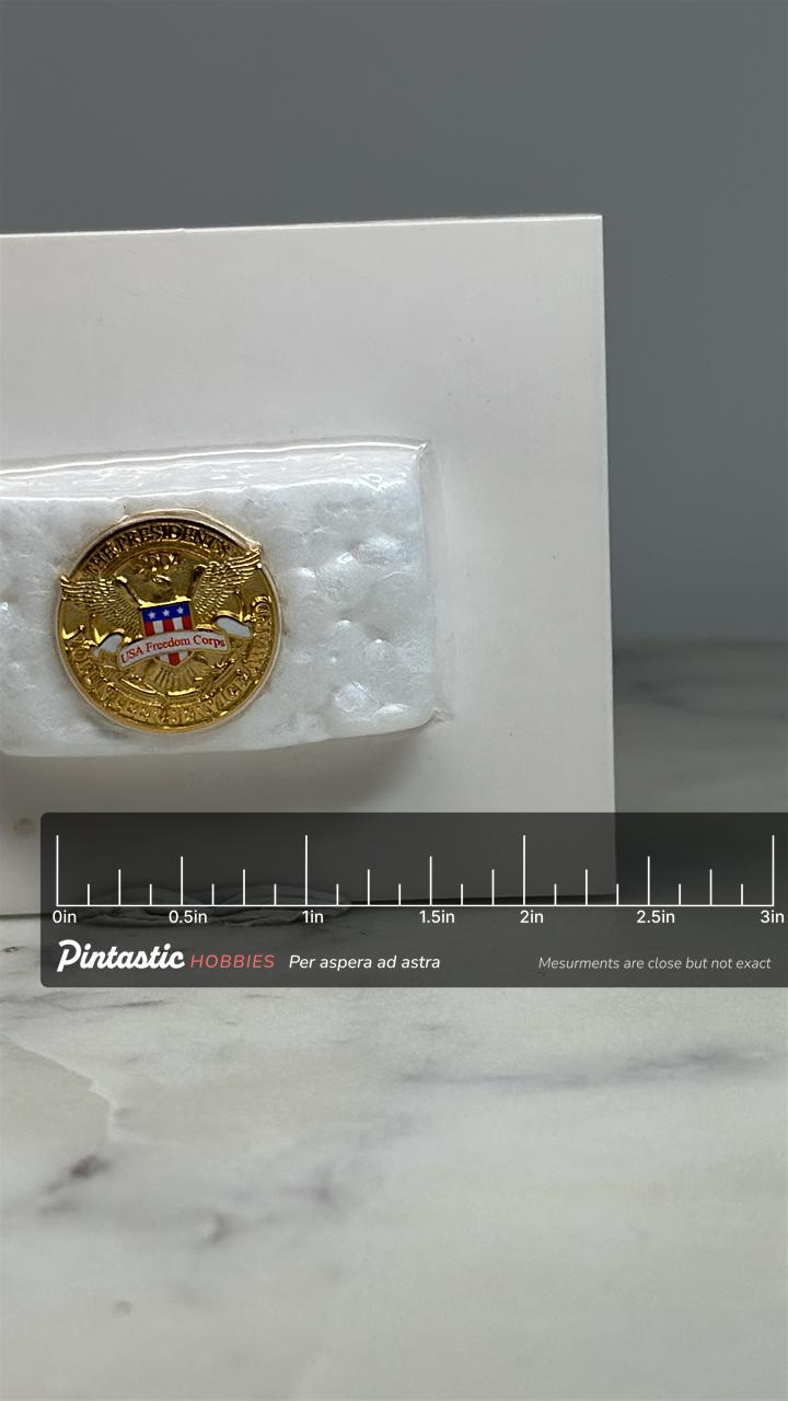 2004 Presidential Award Pin: Gold Finish Eagle Emblem - Patriotic Accessory with ruler overlay for size reference