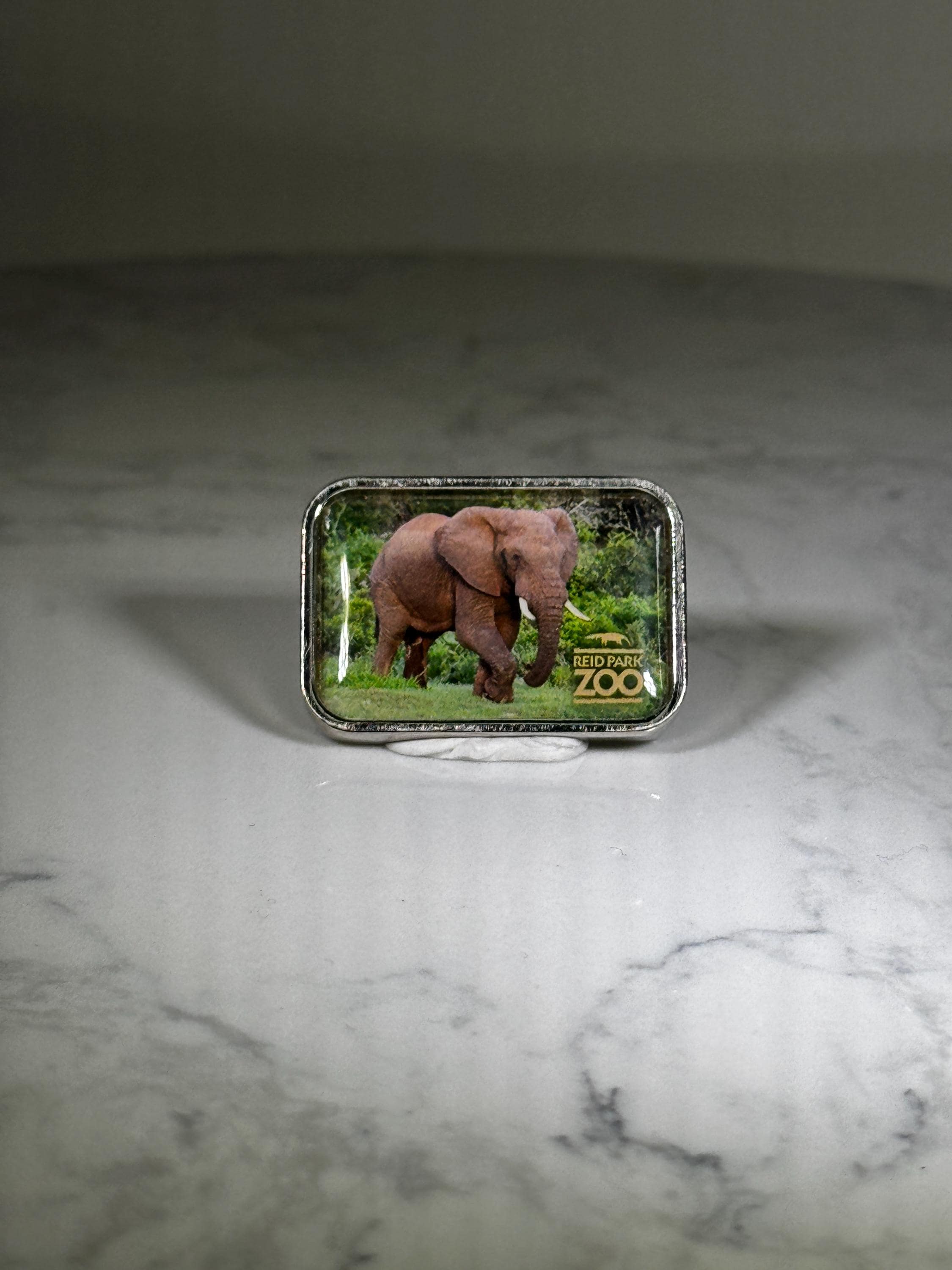 Elephant Tucson Zoo Pin: Photo Finish Metal - Wildlife Souvenir Accessory