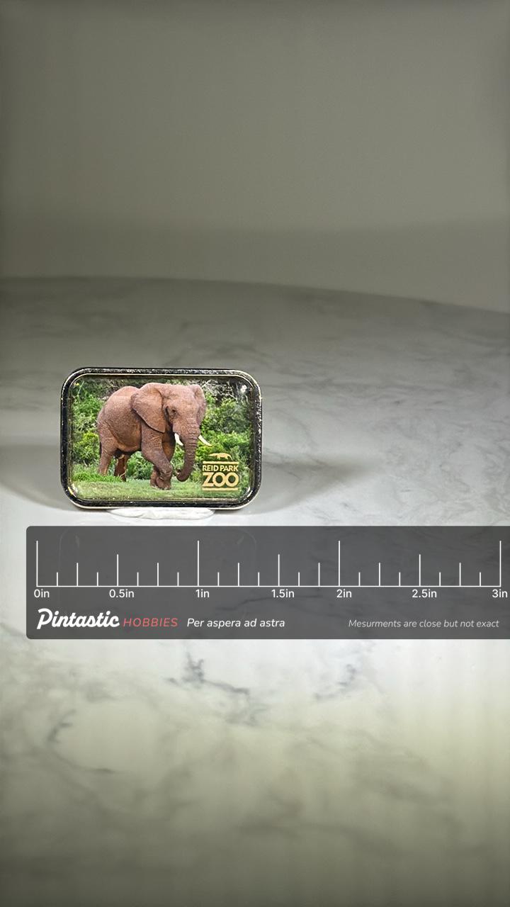 Elephant Tucson Zoo Pin: Photo Finish Metal - Wildlife Souvenir Accessory with ruler overlay for size reference