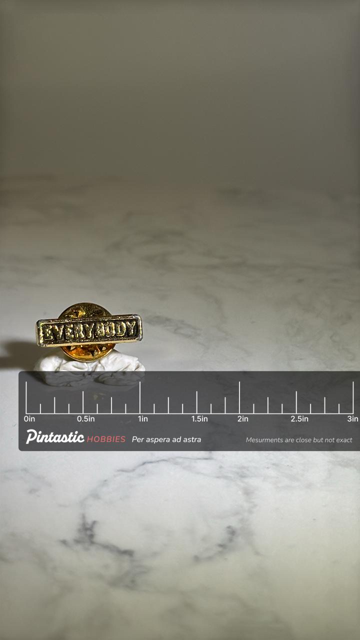Everybody Slogan Pin: Silver and Gold Finish - Retro Motivational Accessory with ruler overlay for size reference