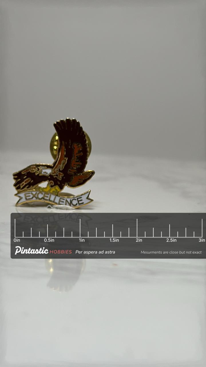 Eagle Excellence Pin: Gold & Brown Enamel - Motivational Award Accessory with ruler overlay for size reference