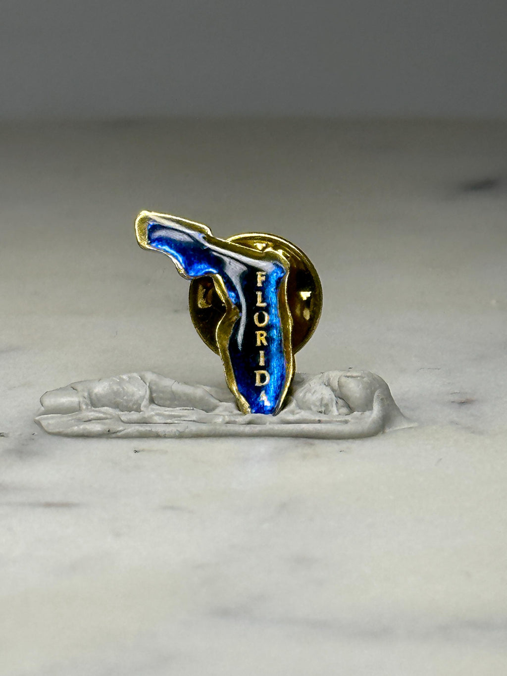 Florida State Souvenir Lapel Pin: Blue Enamel Gold Tone - Travel Accessory