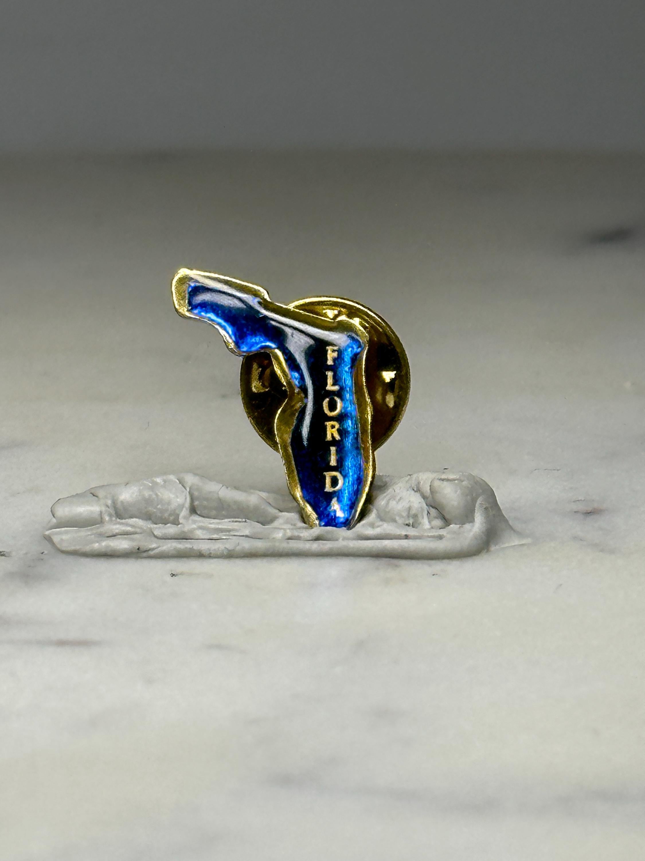 Florida State Souvenir Lapel Pin: Blue Enamel Gold Tone - Travel Accessory