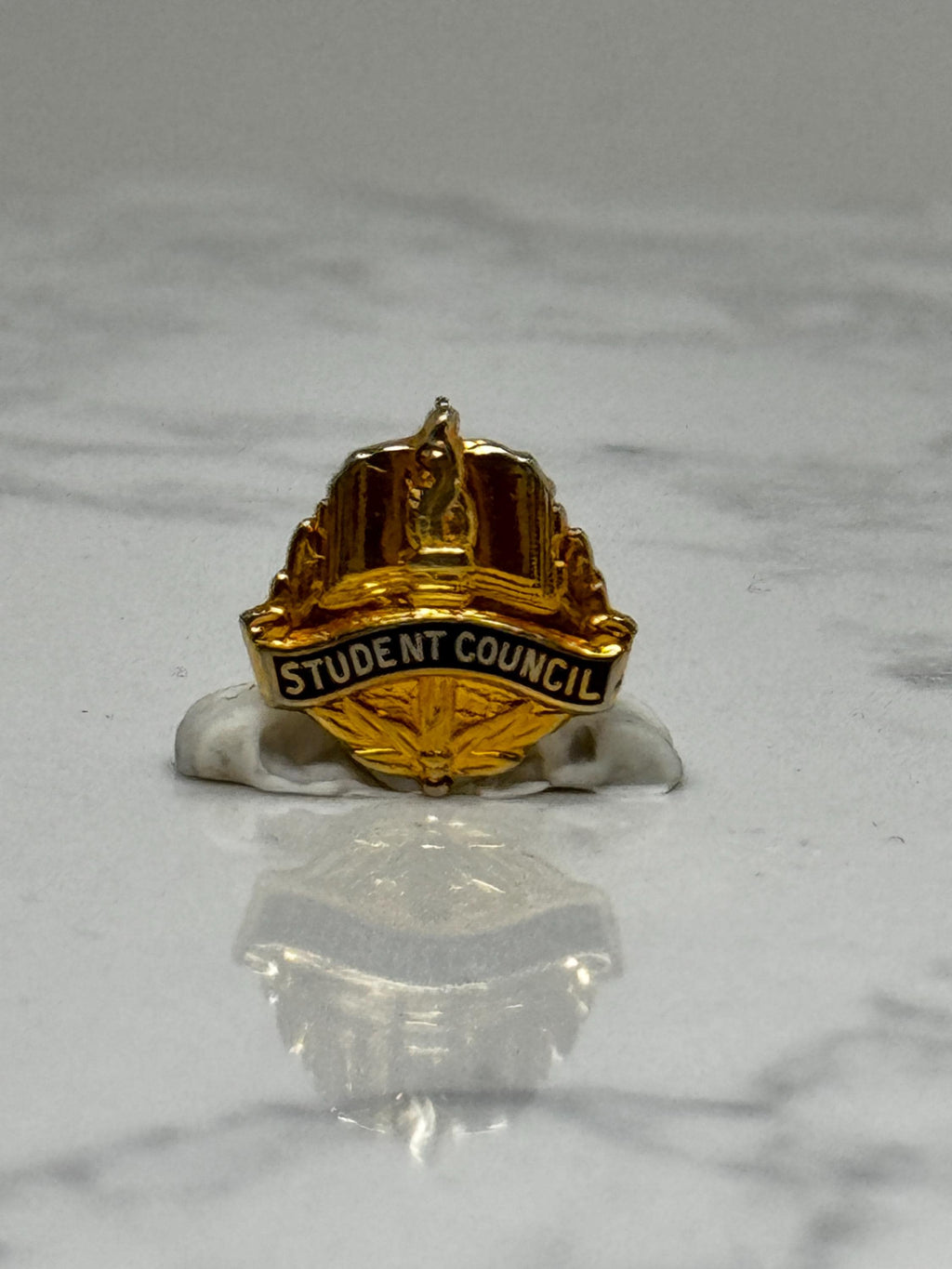 Student Council Badge Pin: Gold Tone Enamel - School Leadership Accessory