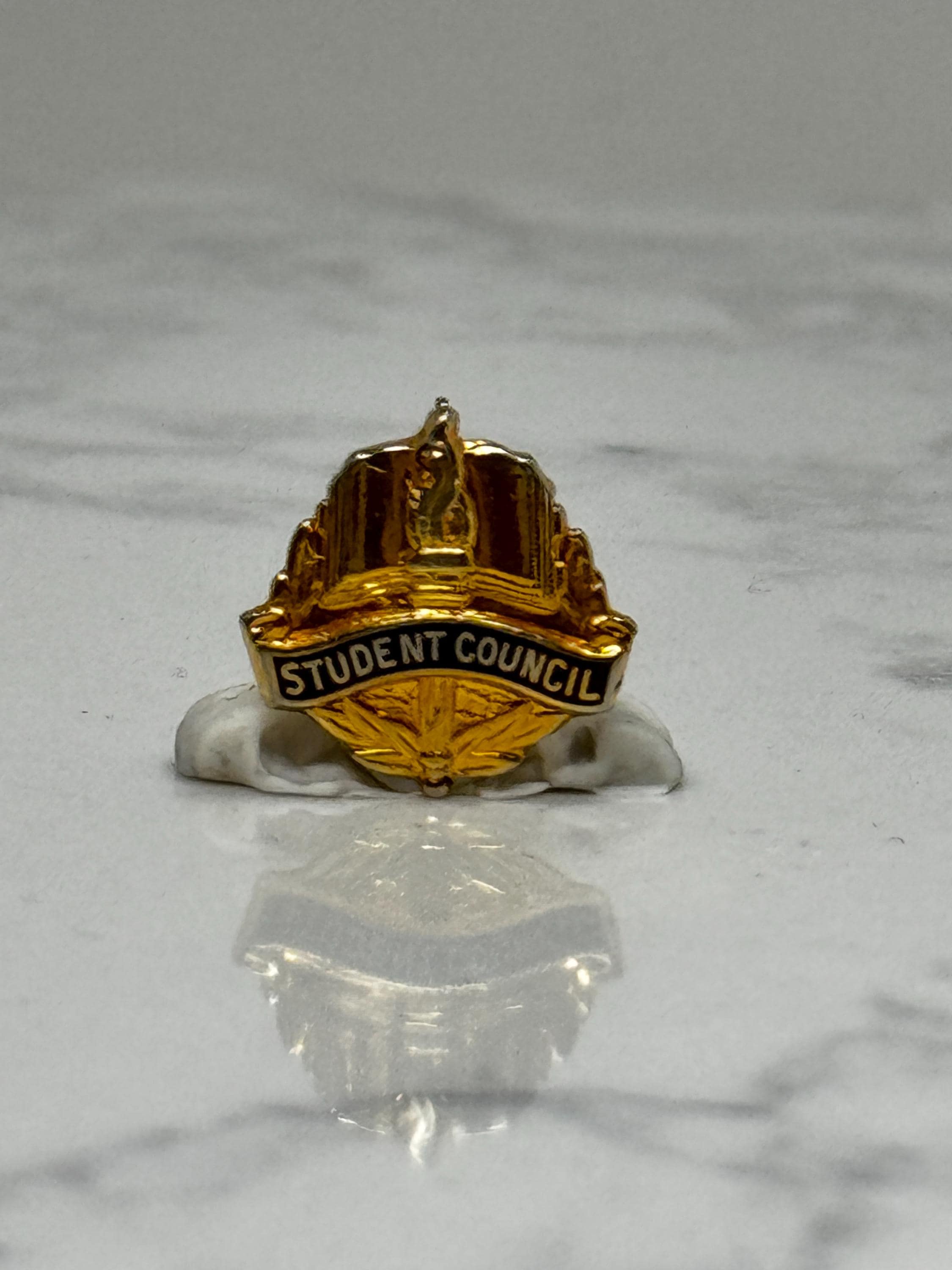 Student Council Badge Pin: Gold Tone Enamel - School Leadership Accessory