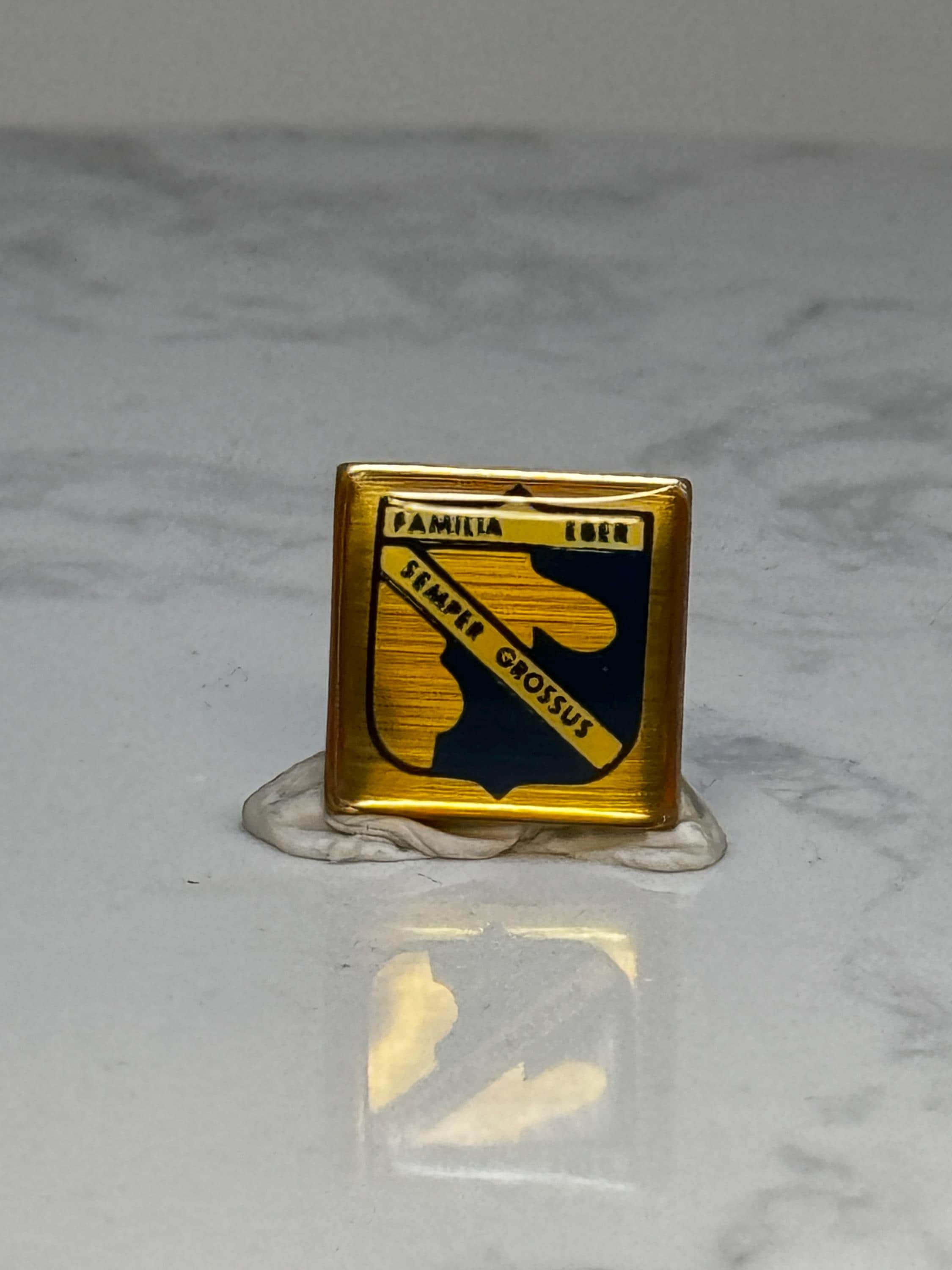 Eber Family Crest Pin Heraldic Coat of Arms Gold Tone Lapel Pin
