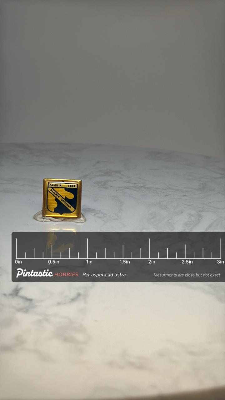 Eber Family Crest Pin Heraldic Coat of Arms Gold Tone Lapel Pin with ruler overlay for size reference
