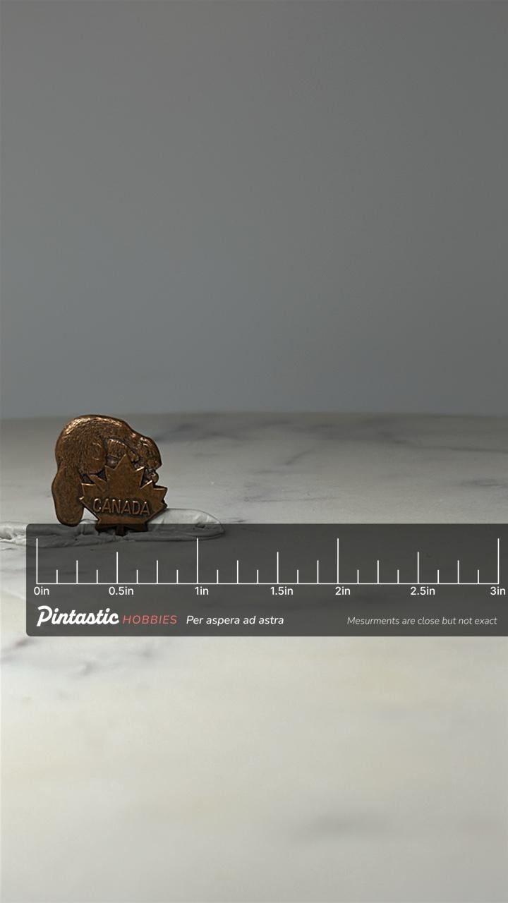 Canada Beaver Maple Leaf Pin: Bronze Tone - Souvenir Accessory with ruler overlay for size reference