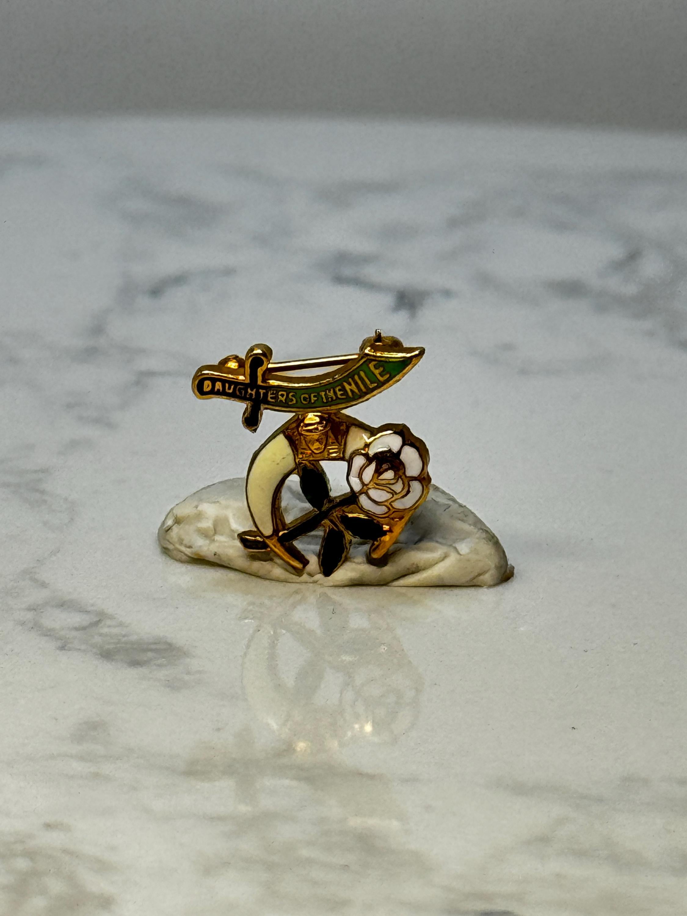 Vintage Daughters of the Nile Enamel Lapel Pin: Gold Tone - Fraternal Accessory