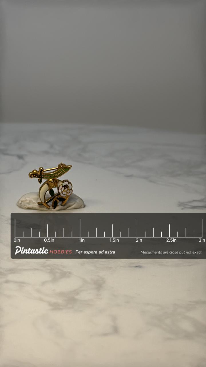 Vintage Daughters of the Nile Enamel Lapel Pin: Gold Tone - Fraternal Accessory with ruler overlay for size reference