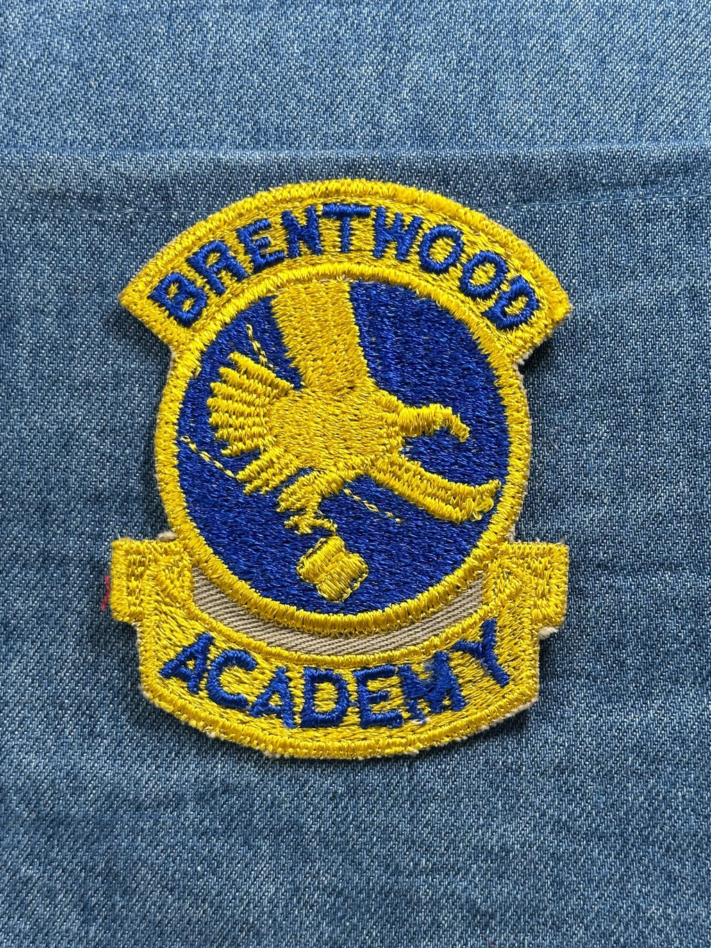 Brentwood Academy Patch: Blue & Gold Eagle - School Accessory