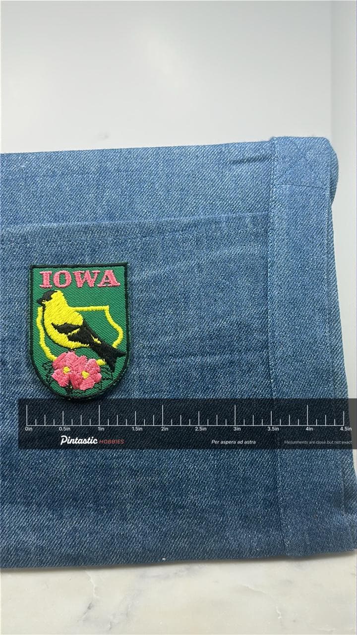 Iowa State Bird Collectable Patch: Green Scenic - Travel Souvenir Accessory with ruler overlay for size reference