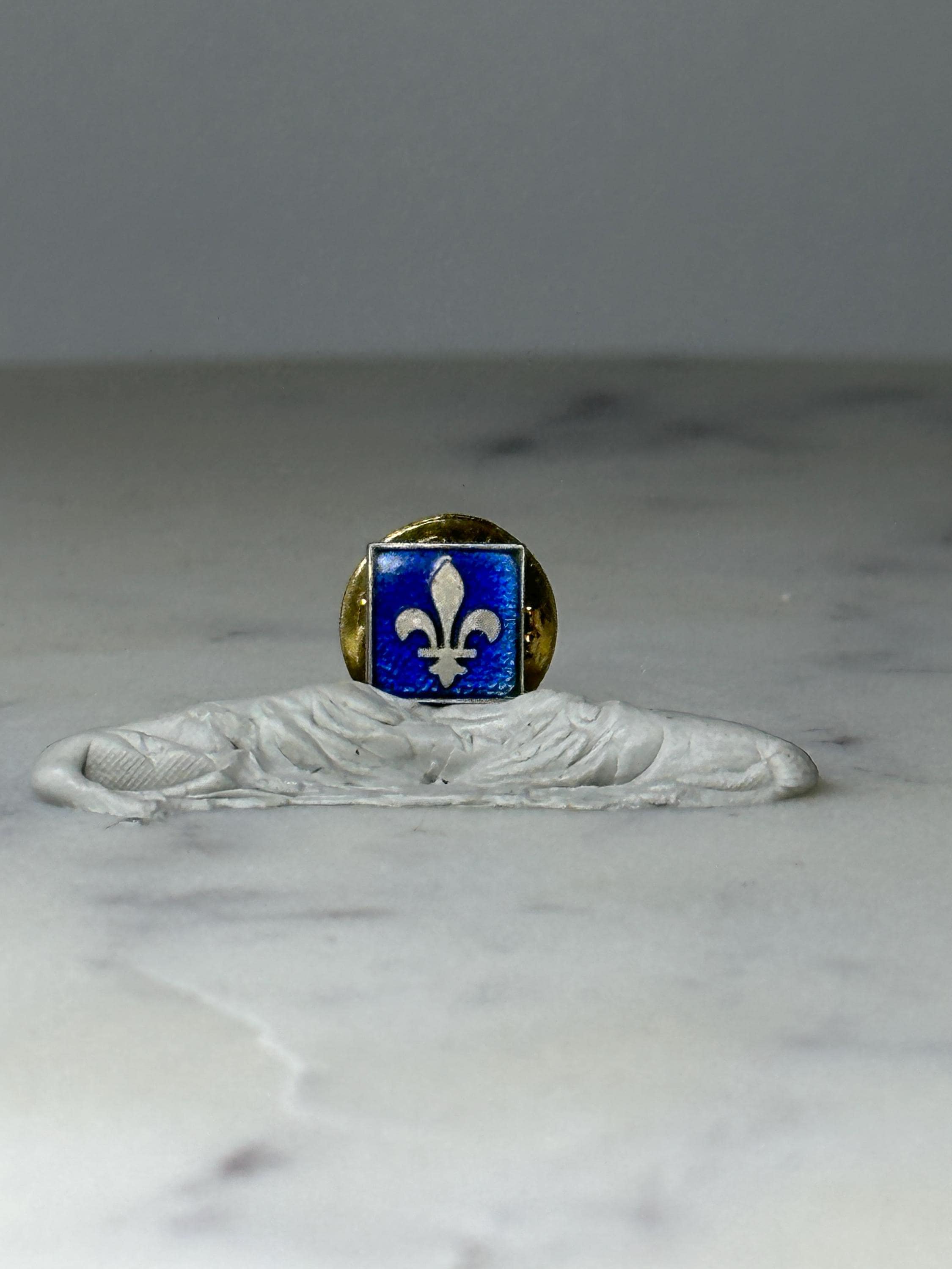 Vintage Fleur De Lis Lapel Pin: Blue Gold Tone - Heraldic Accessory