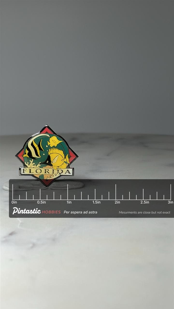 Vintage Florida Fish Enamel Pin: Colorful Tropical - Souvenir Accessory with ruler overlay for size reference