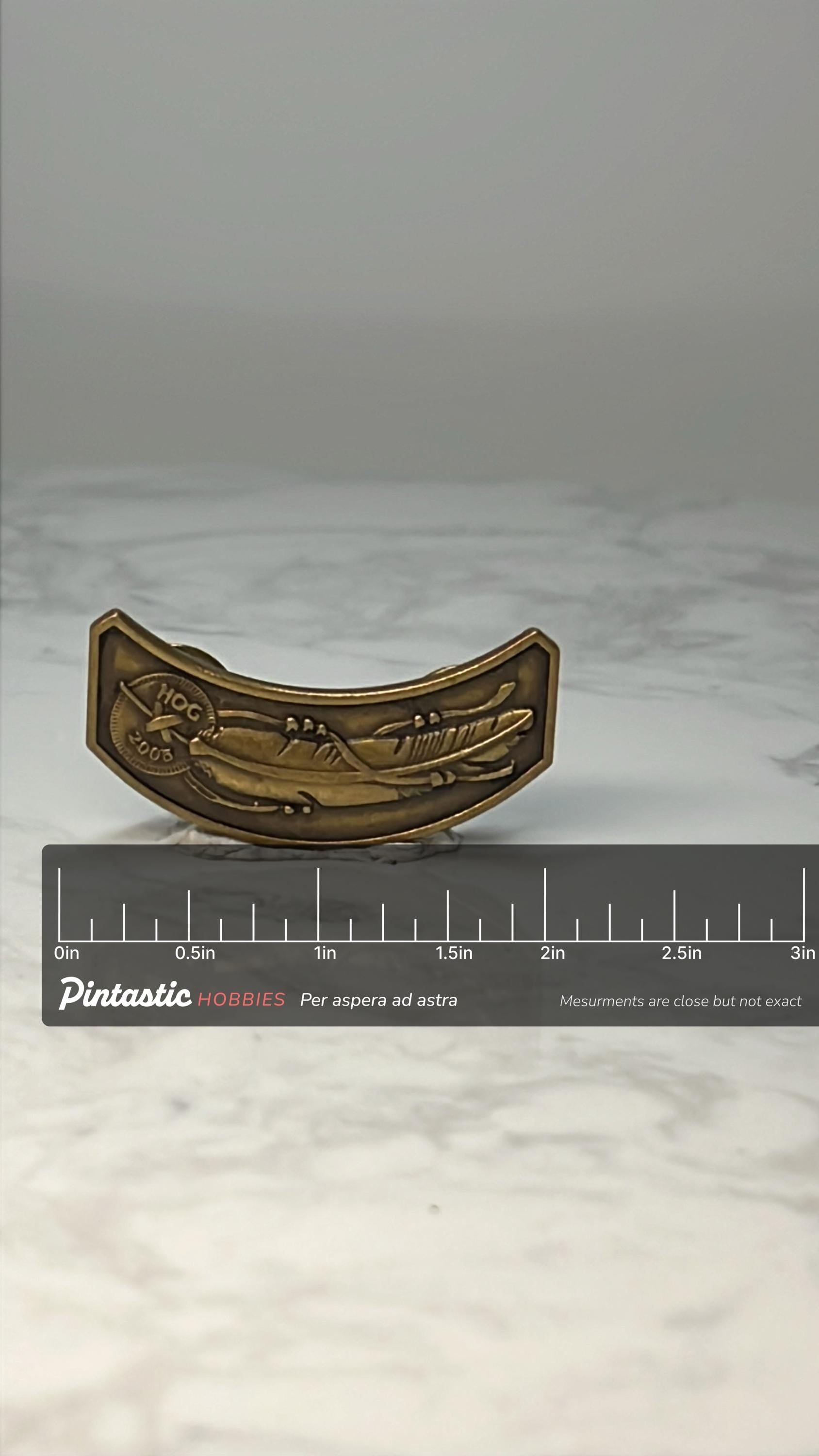 Harley Owners Group HOG 2003 Pin Vintage Harley Davidson Motorcycle Enamel Pin with ruler overlay for size reference