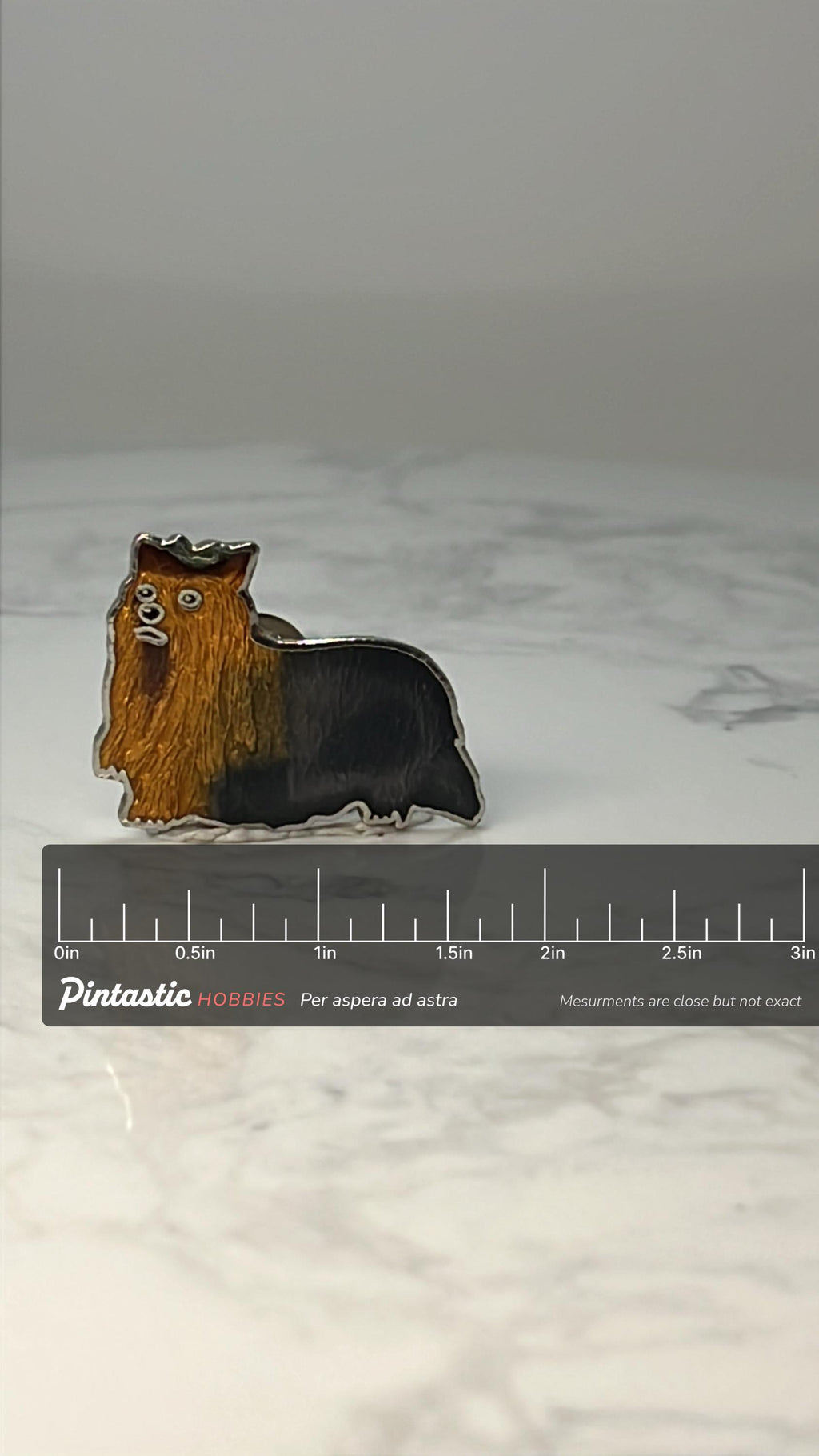 Vintage Silky Terrier Enamel Pin: Gold Tone - Dog Lover Accessory with ruler overlay for size reference