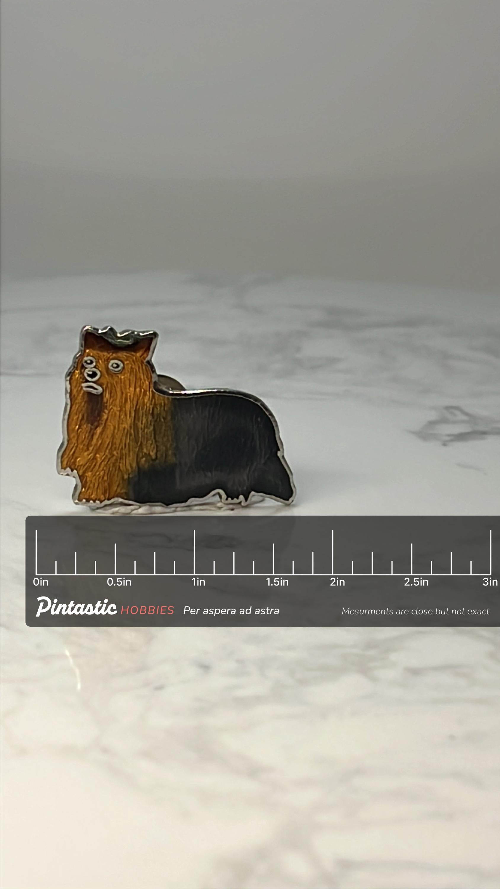 Vintage Silky Terrier Enamel Pin: Gold Tone - Dog Lover Accessory with ruler overlay for size reference