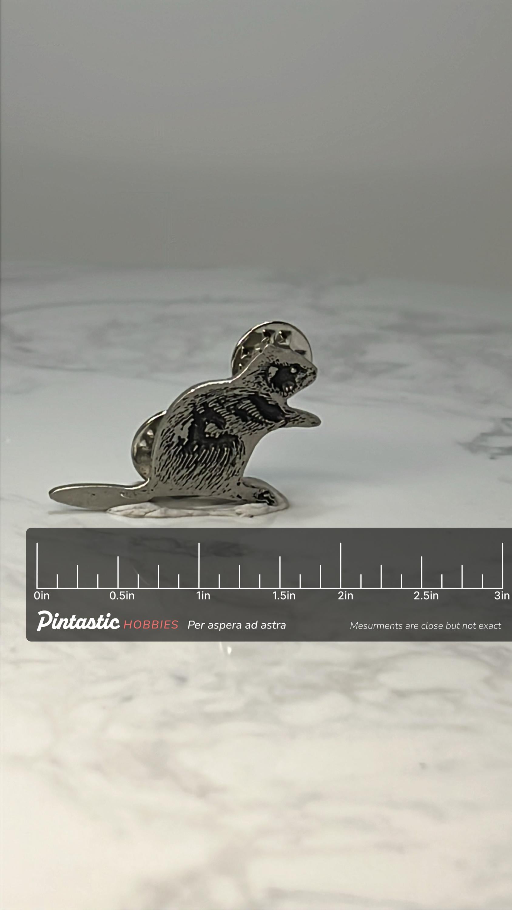 Vintage Beaver Enamel Lapel Pin: Silver Tone - Wildlife Accessory with ruler overlay for size reference