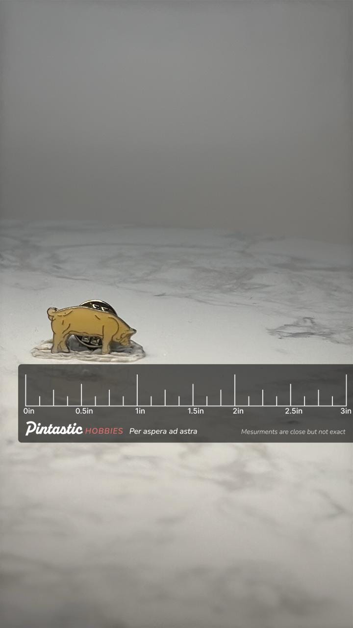 Vintage Pig Lapel Pin: Gold Tone Enamel - Farm Animal Accessory with ruler overlay for size reference