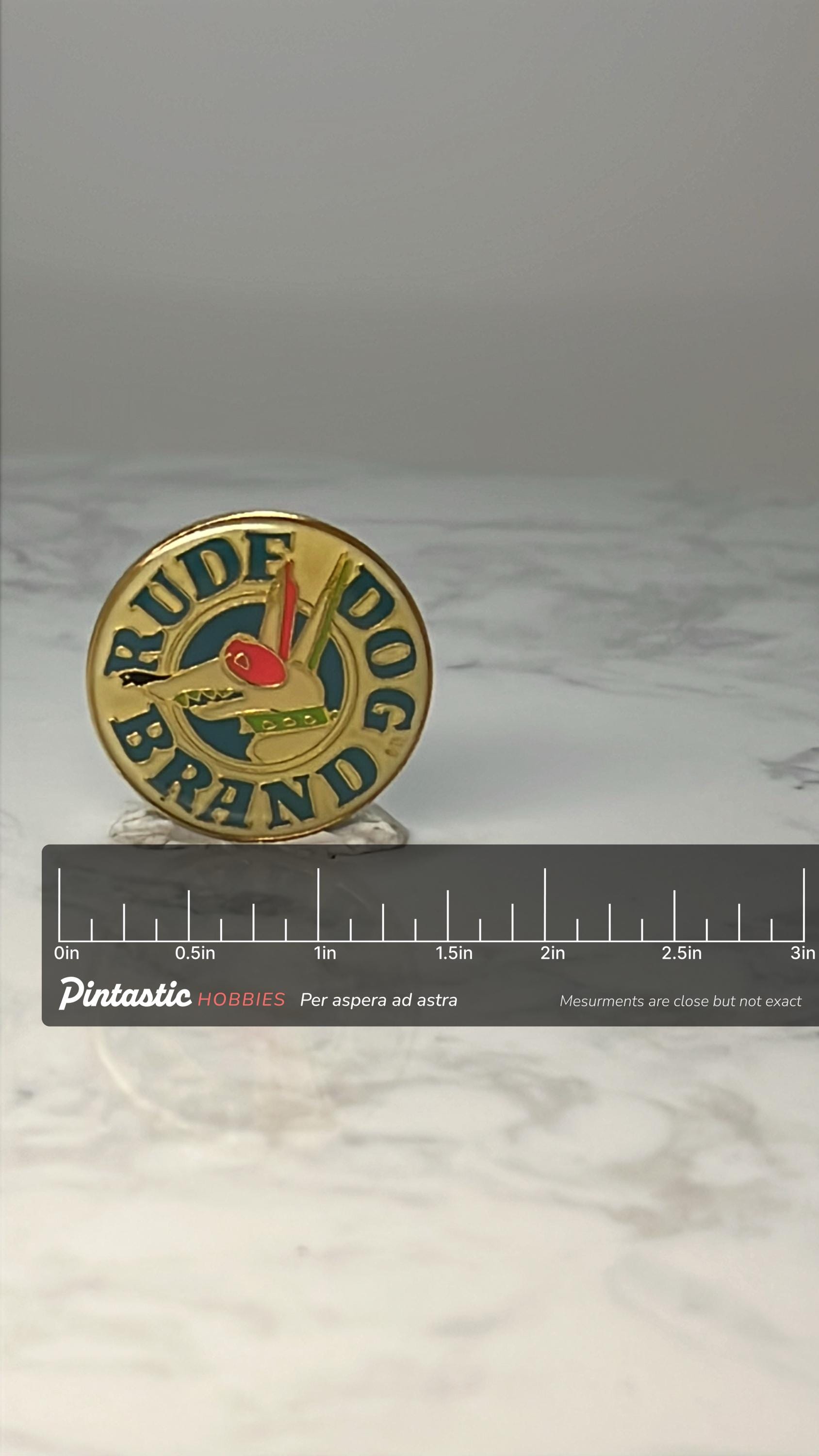 Vintage Rude Dog Brando Enamel Pin: Gold Tone - 1980s Cartoon Accessory with ruler overlay for size reference