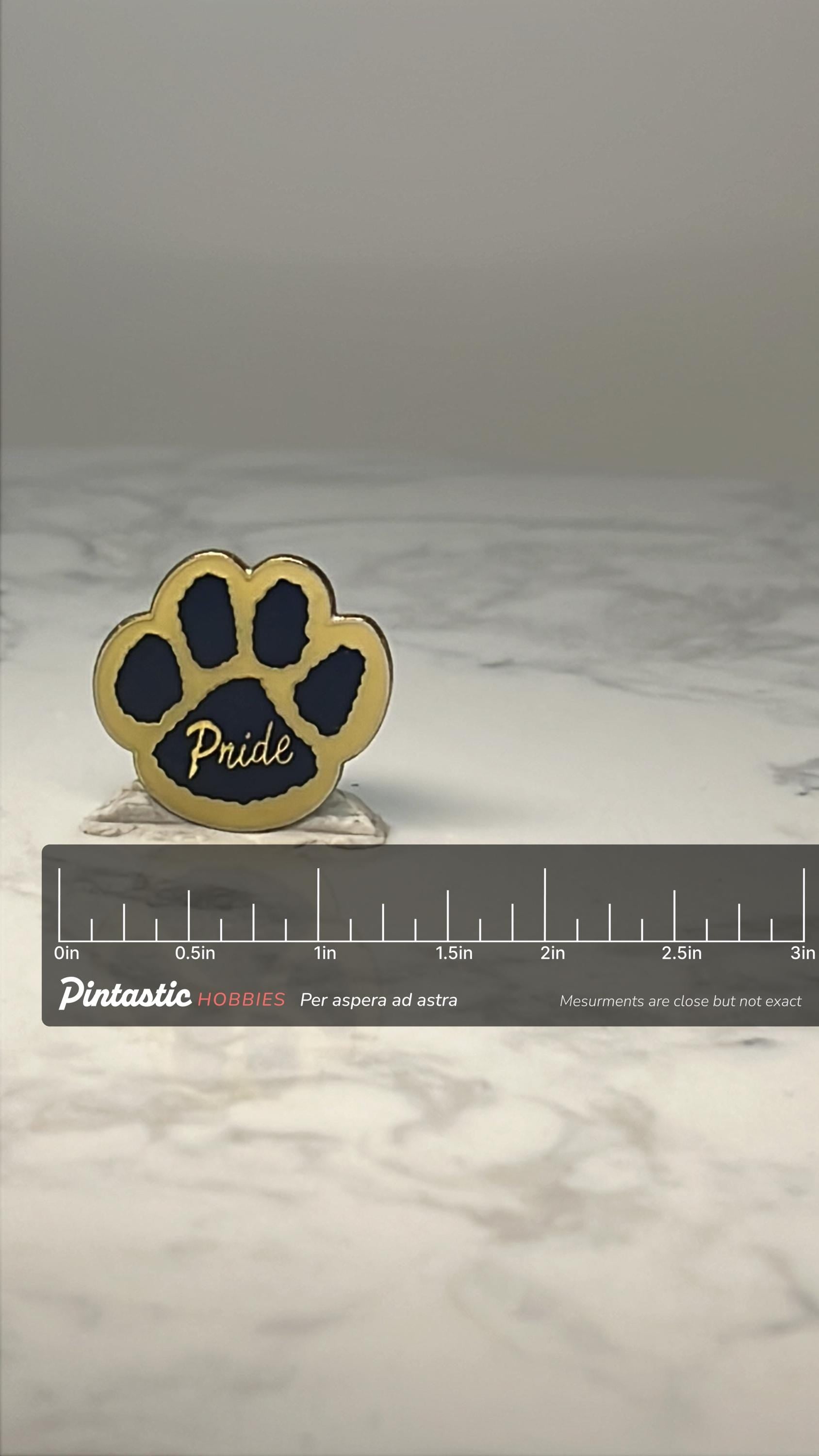 Vintage Paw Print Pride Lapel Pin: Blue & Gold Enamel - School Spirit Accessory with ruler overlay for size reference