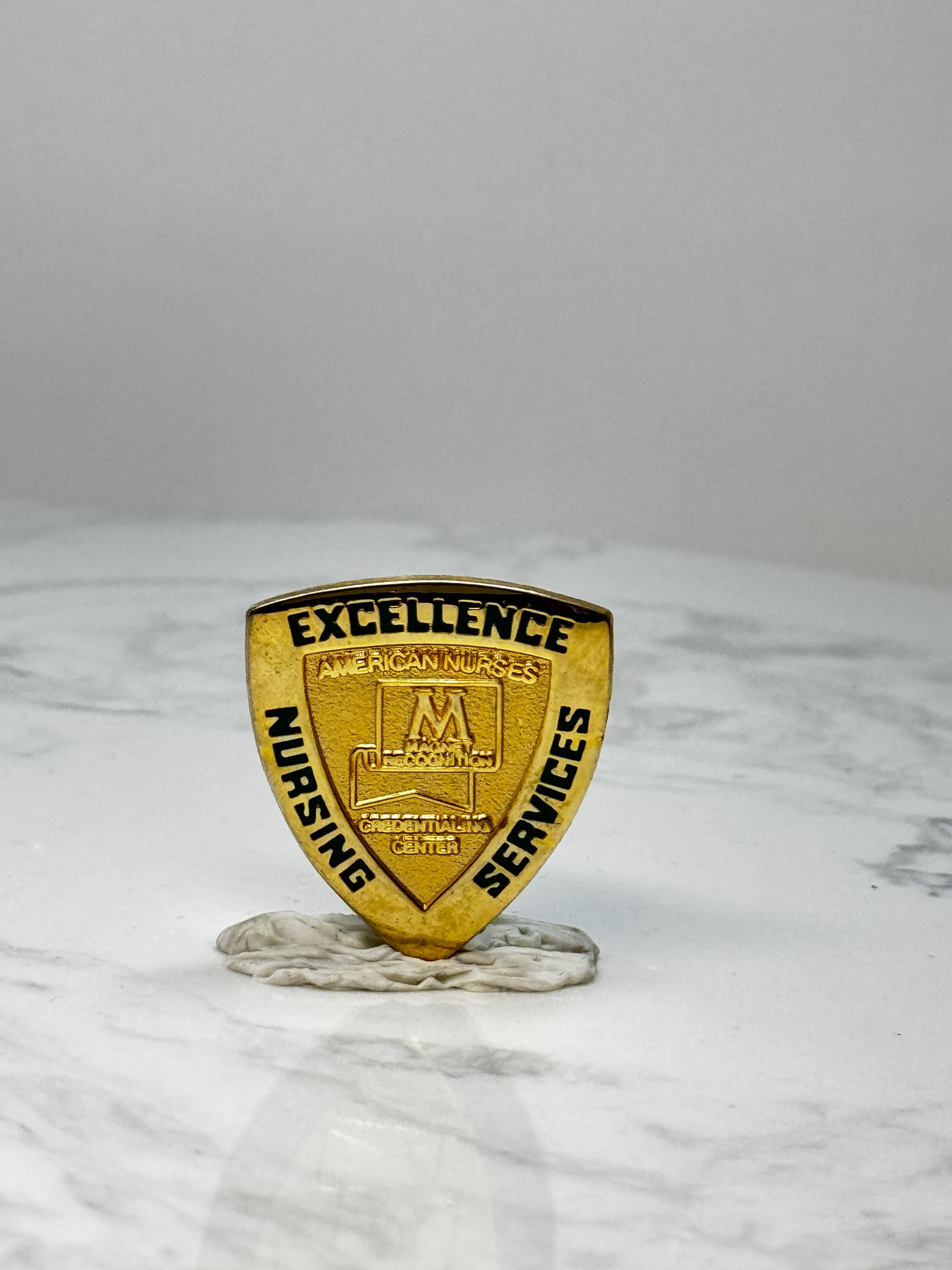 Vintage American Nurses Excellence Shield Pin: Gold Tone - Nursing Services Accessory