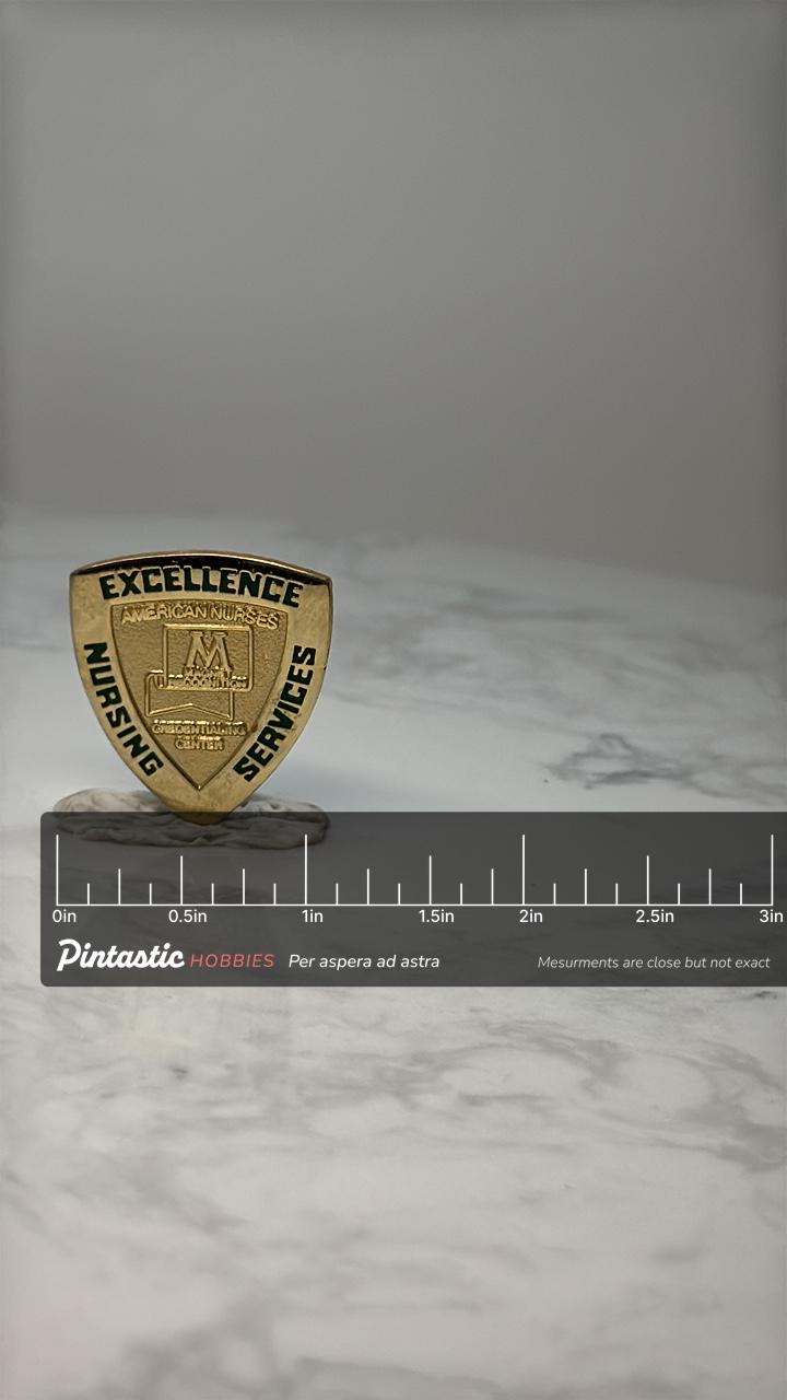Vintage American Nurses Excellence Shield Pin: Gold Tone - Nursing Services Accessory with ruler overlay for size reference