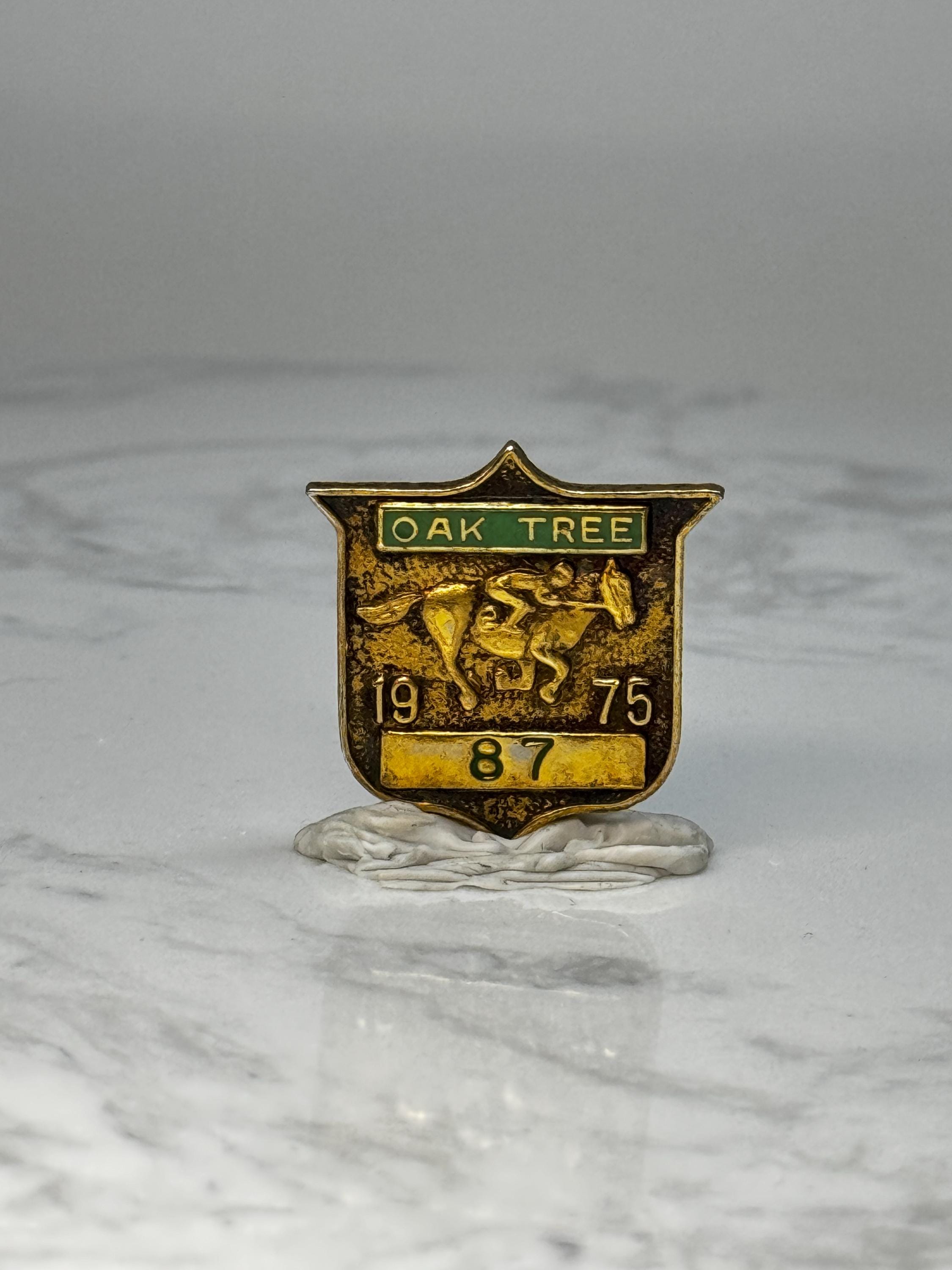 Vintage Oak Tree Horse Racing Pin: Gold Tone Enamel - 1975 Sport